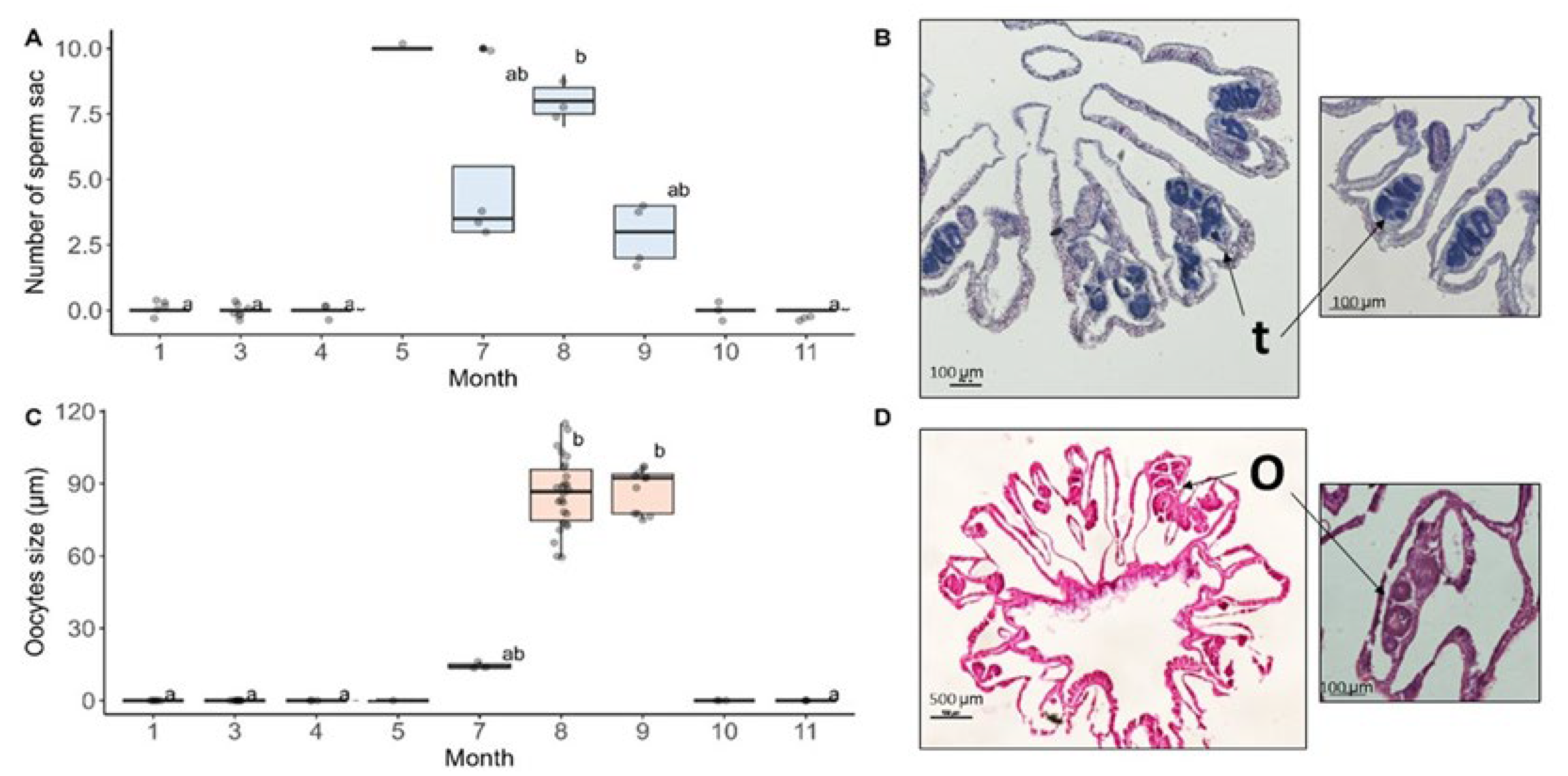 Preprints 107098 g004