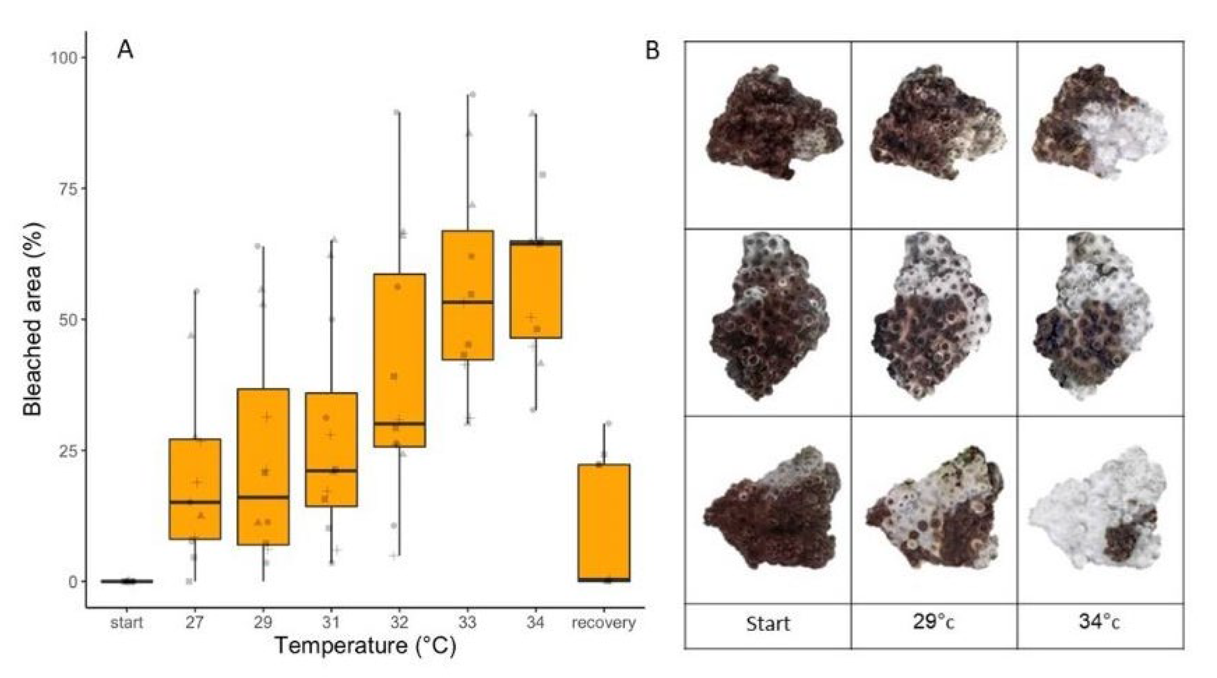 Preprints 107098 g007