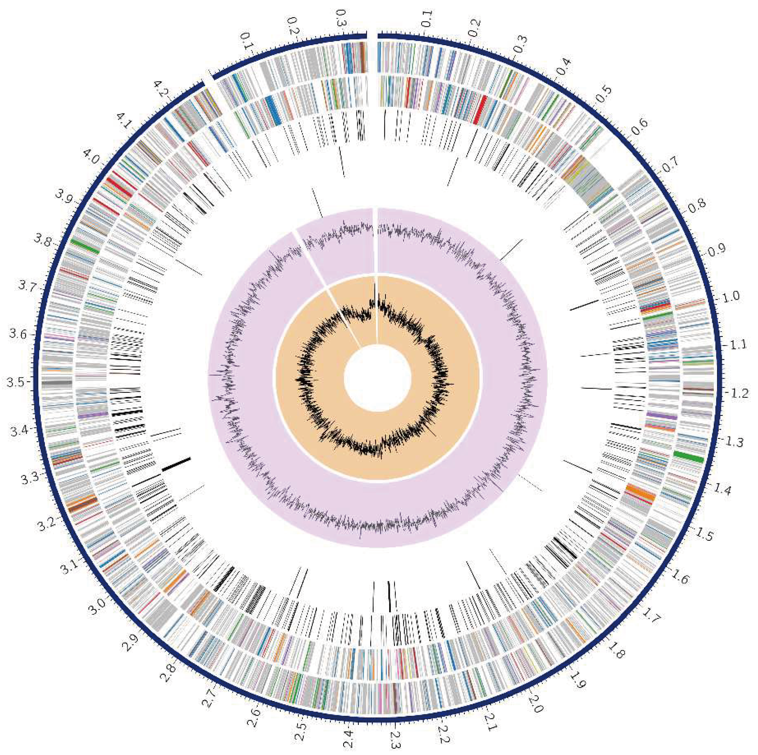 Preprints 98907 g001