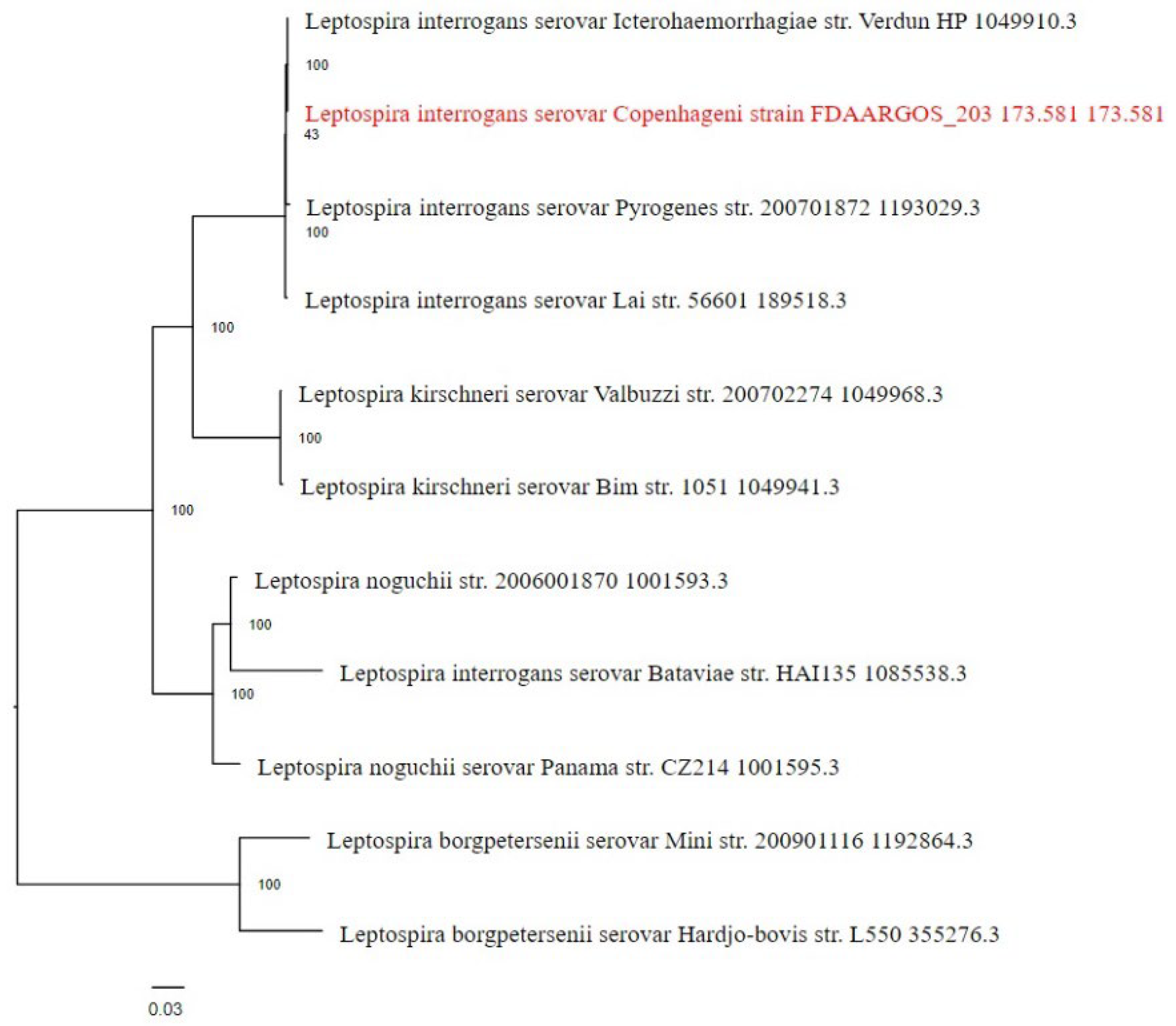 Preprints 98907 g003