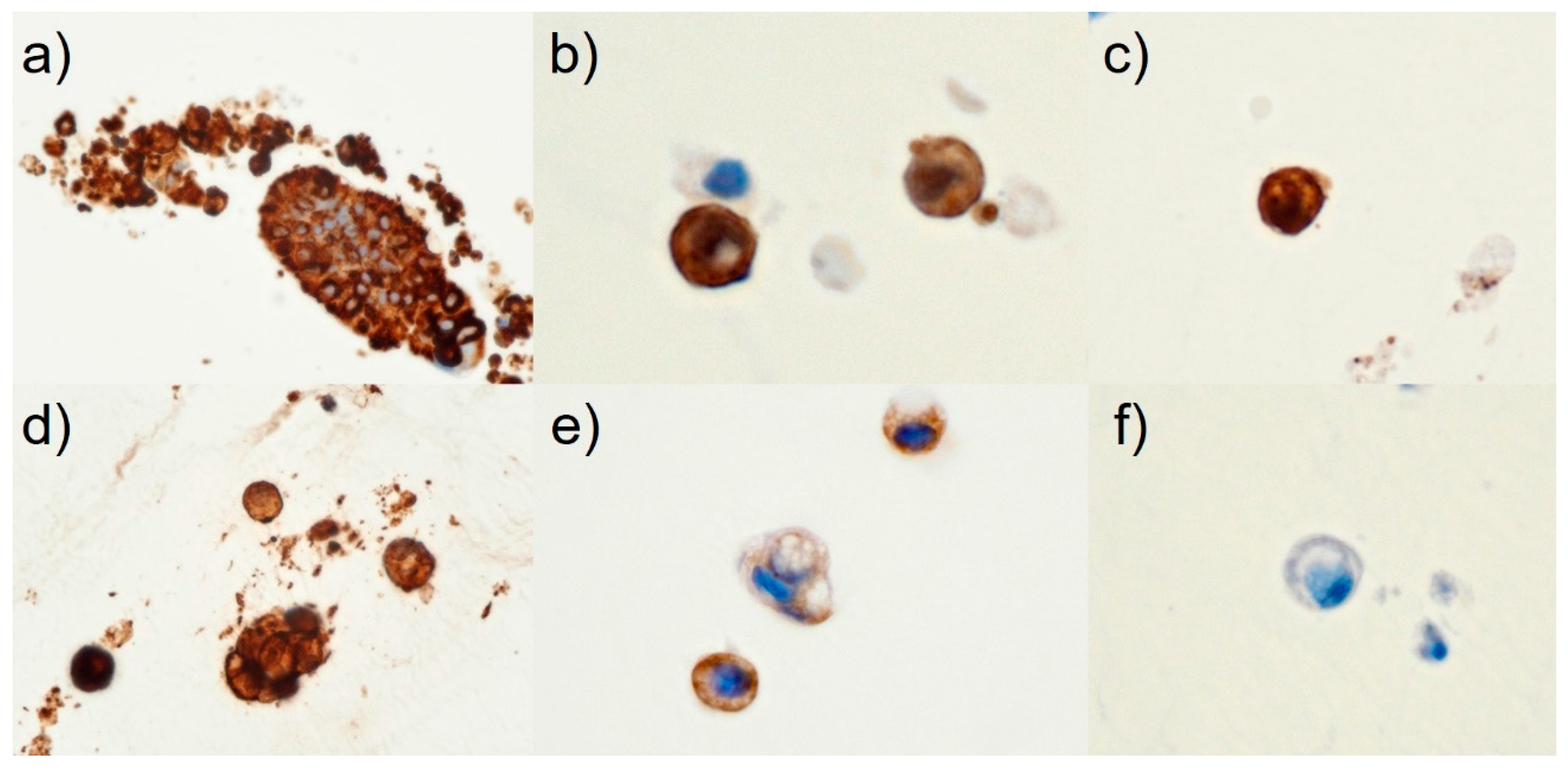 Preprints 84328 g003