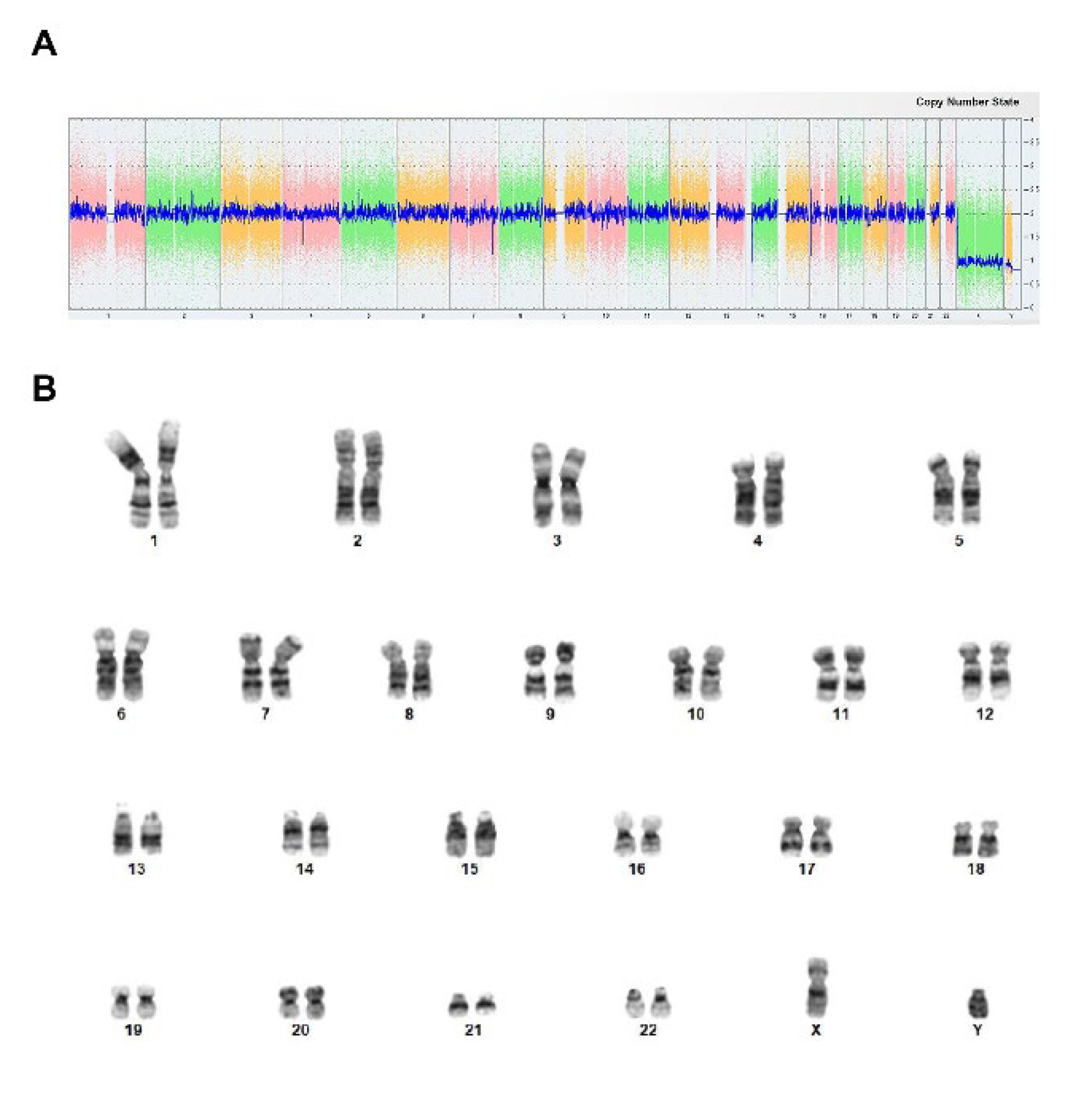 Preprints 116558 g003