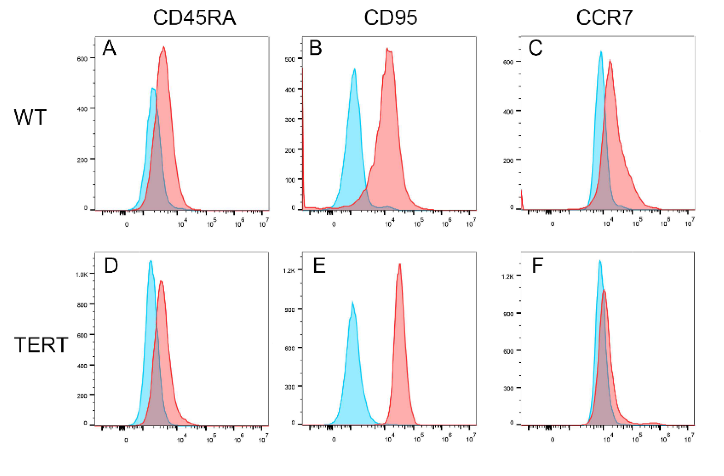 Preprints 116558 g006