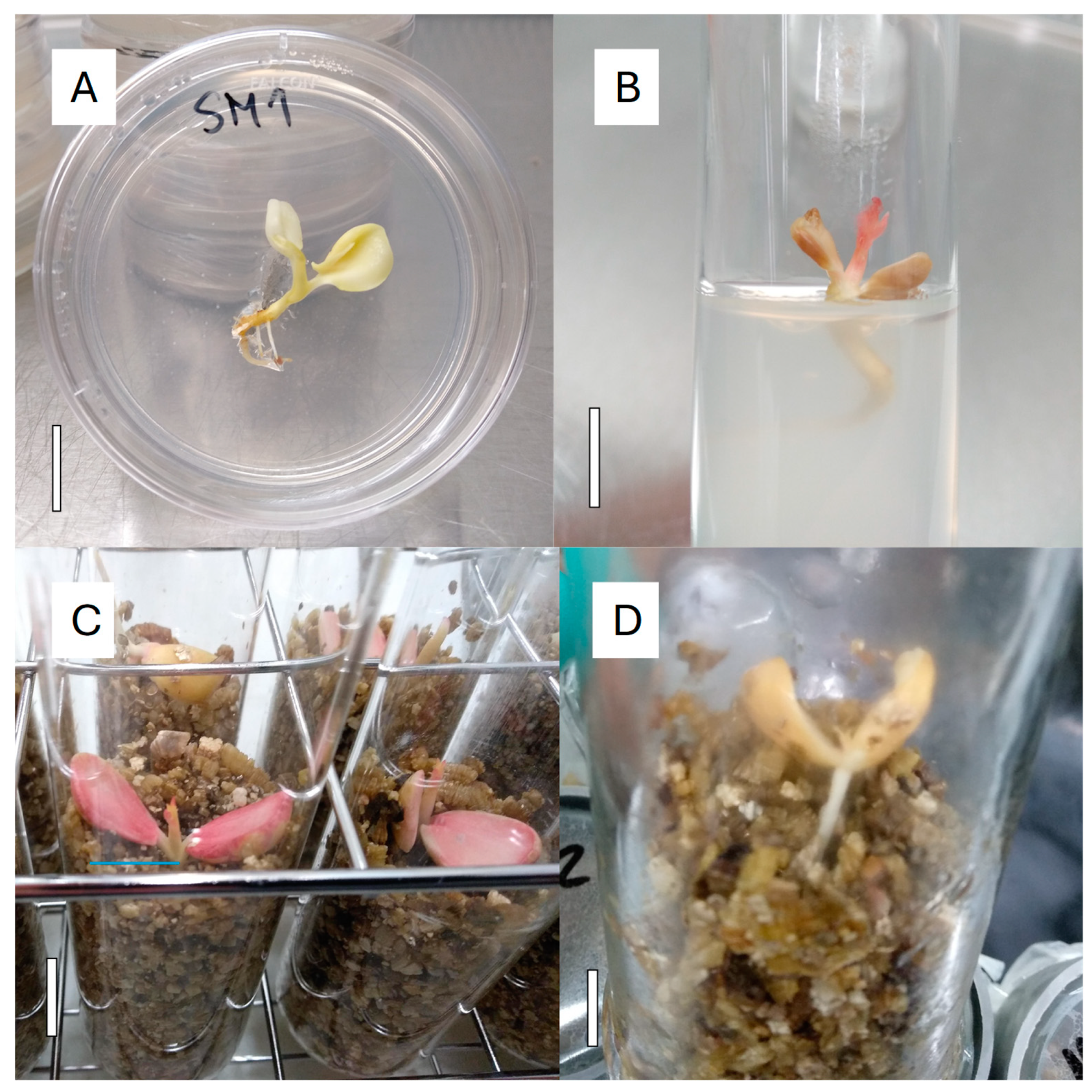 Preprints 117120 g006