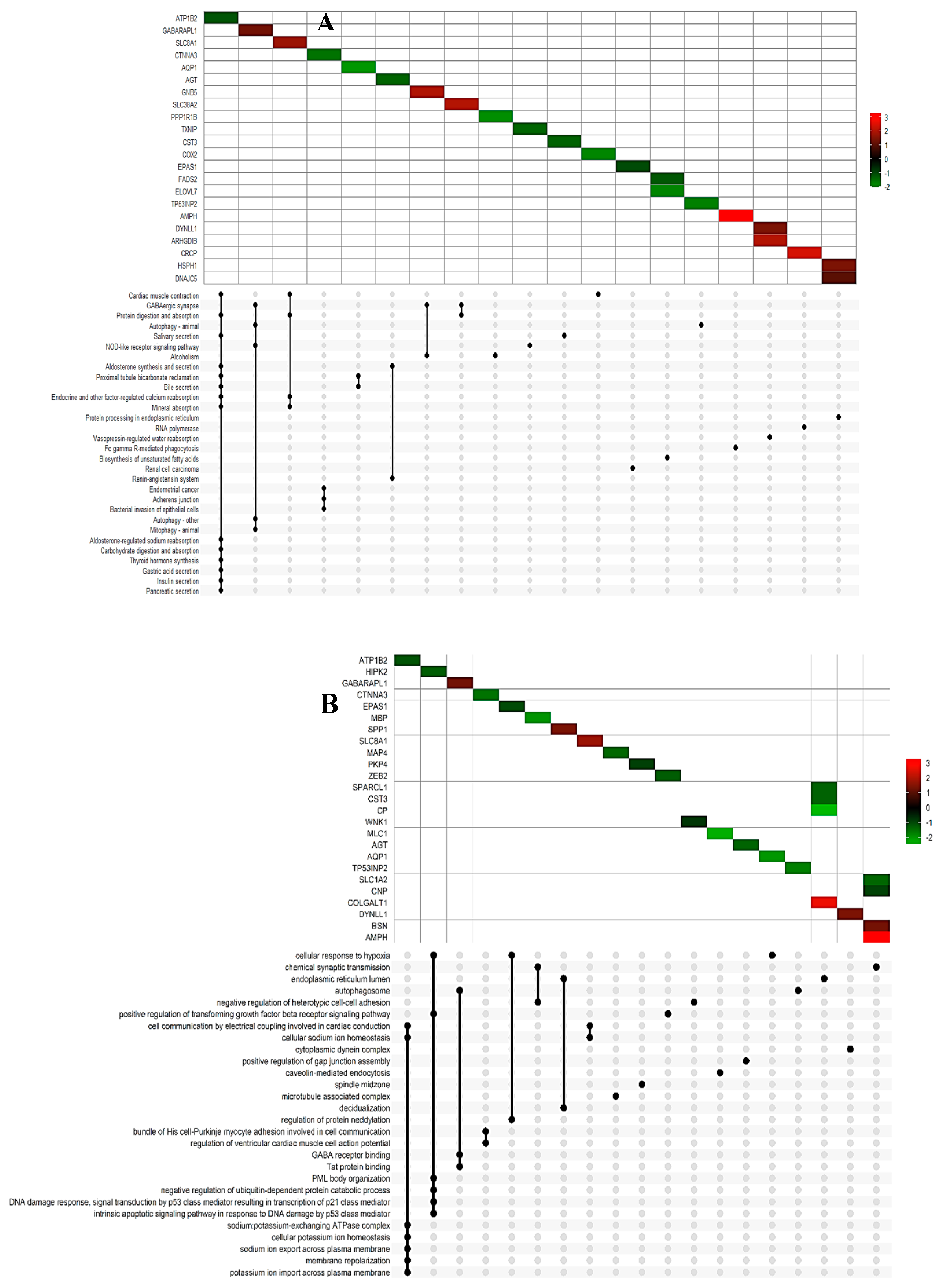 Preprints 90490 g002