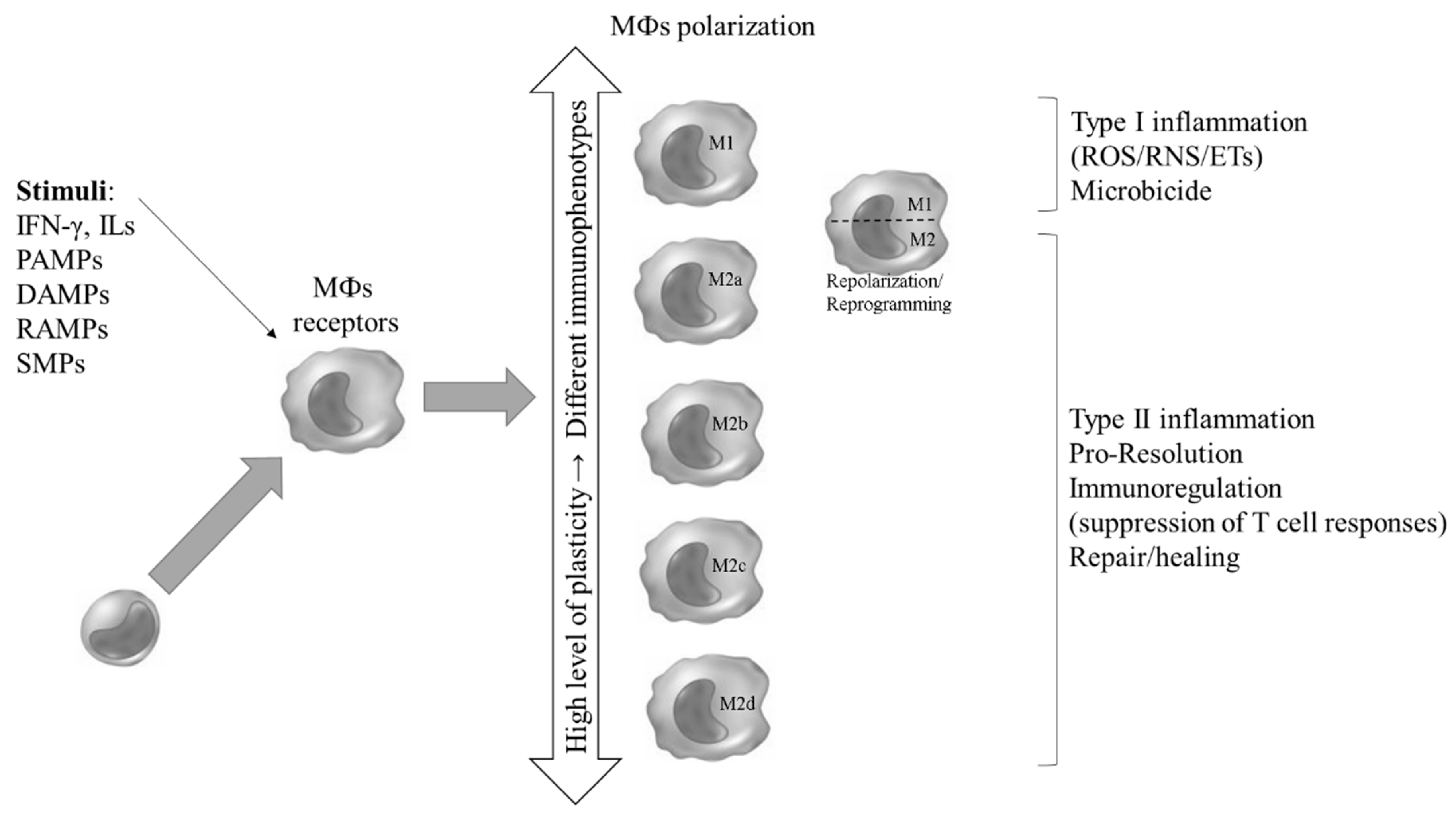 Preprints 92587 g001