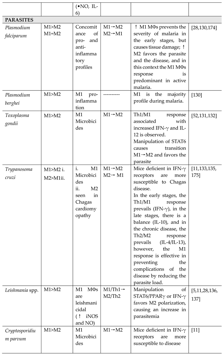 Preprints 92587 i007