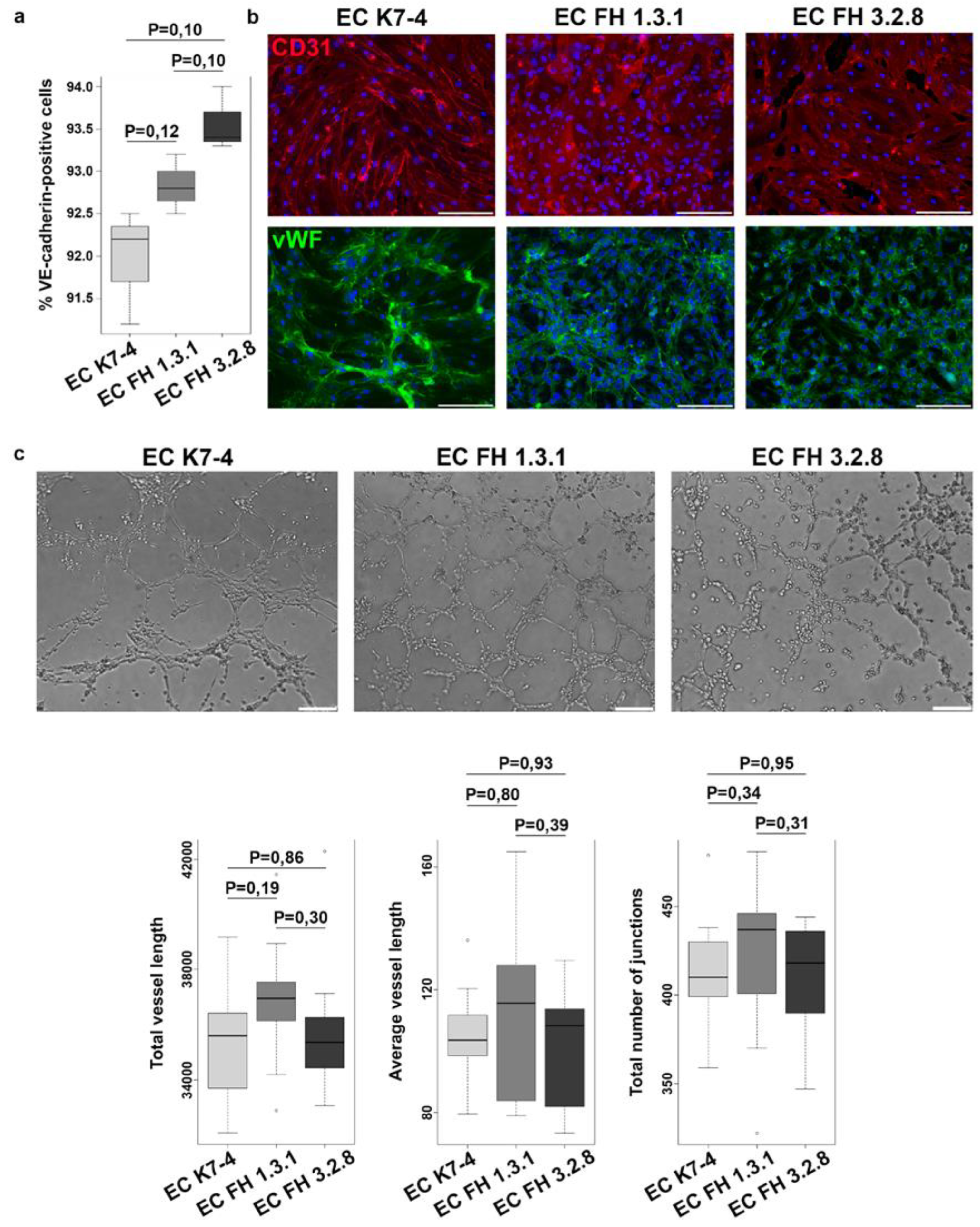 Preprints 89966 g001