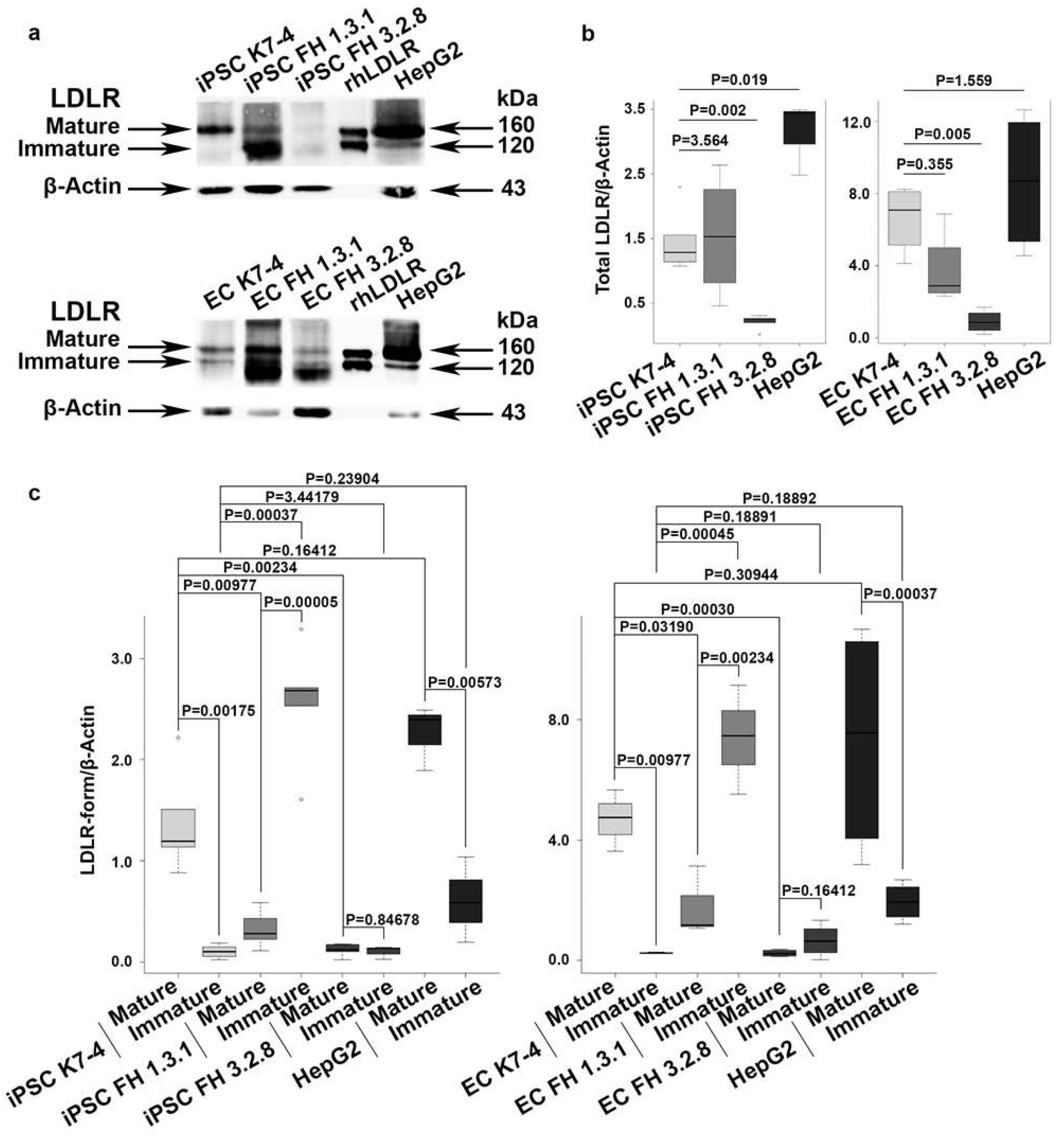 Preprints 89966 g003