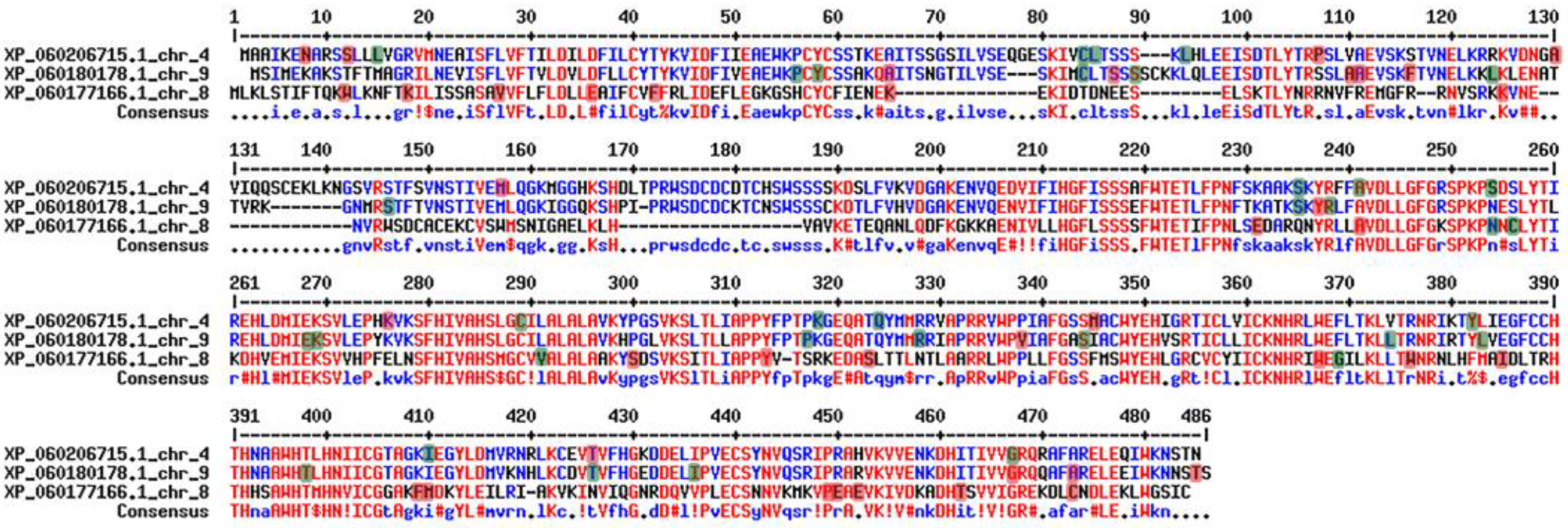 Preprints 91199 g005