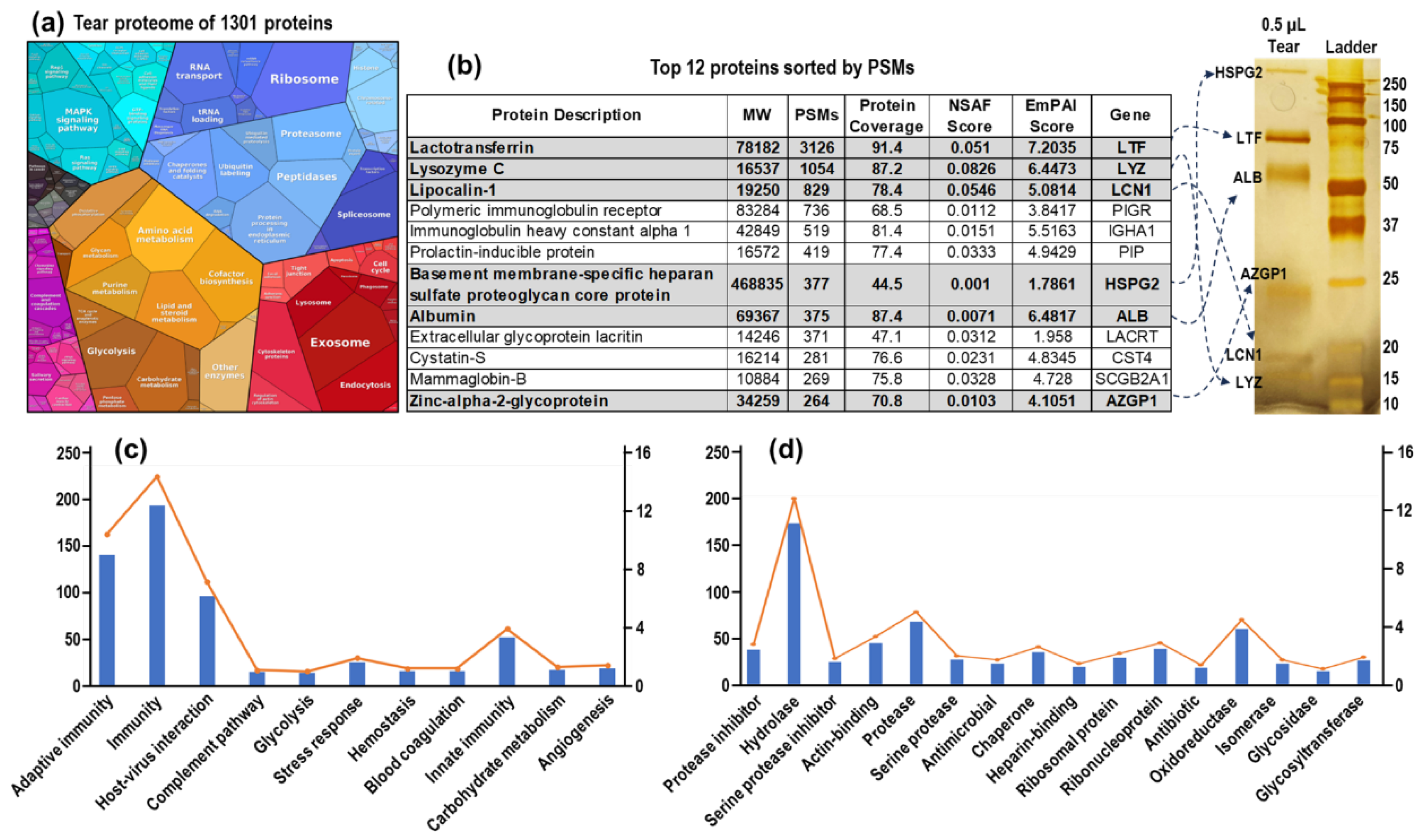 Preprints 120513 g004