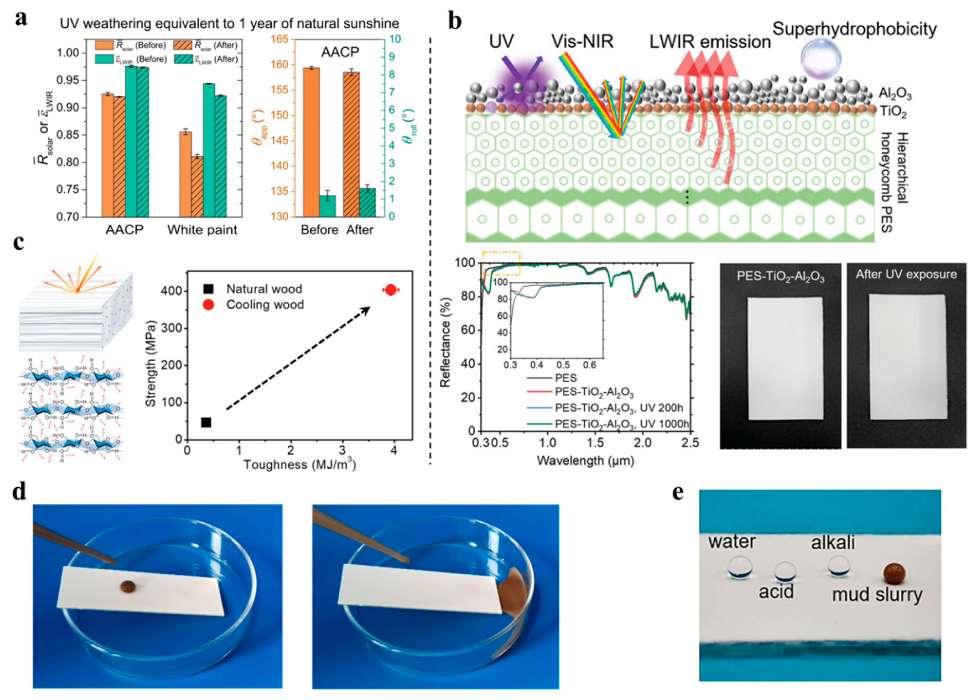 Preprints 97917 g002