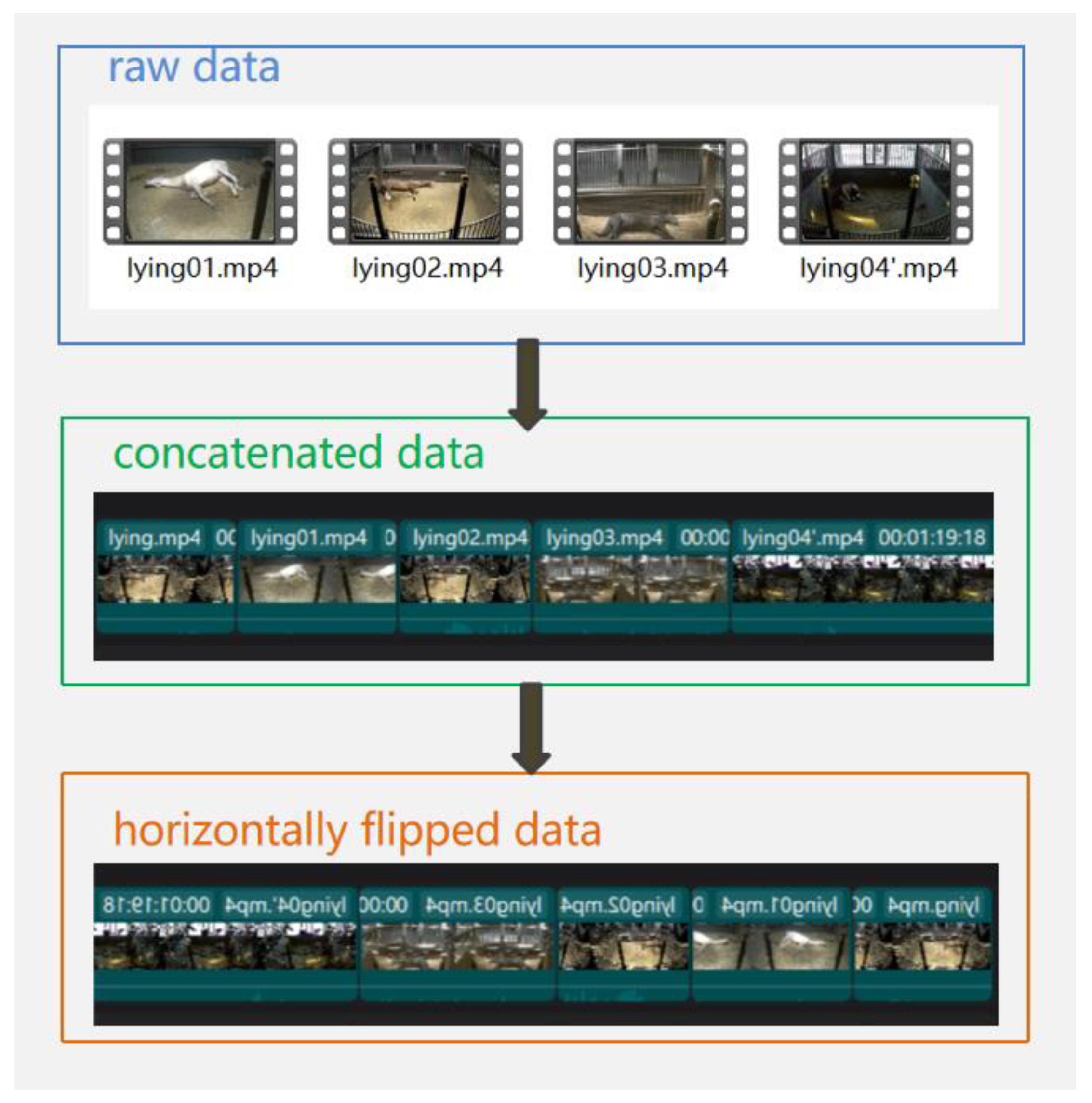 Preprints 116834 g010