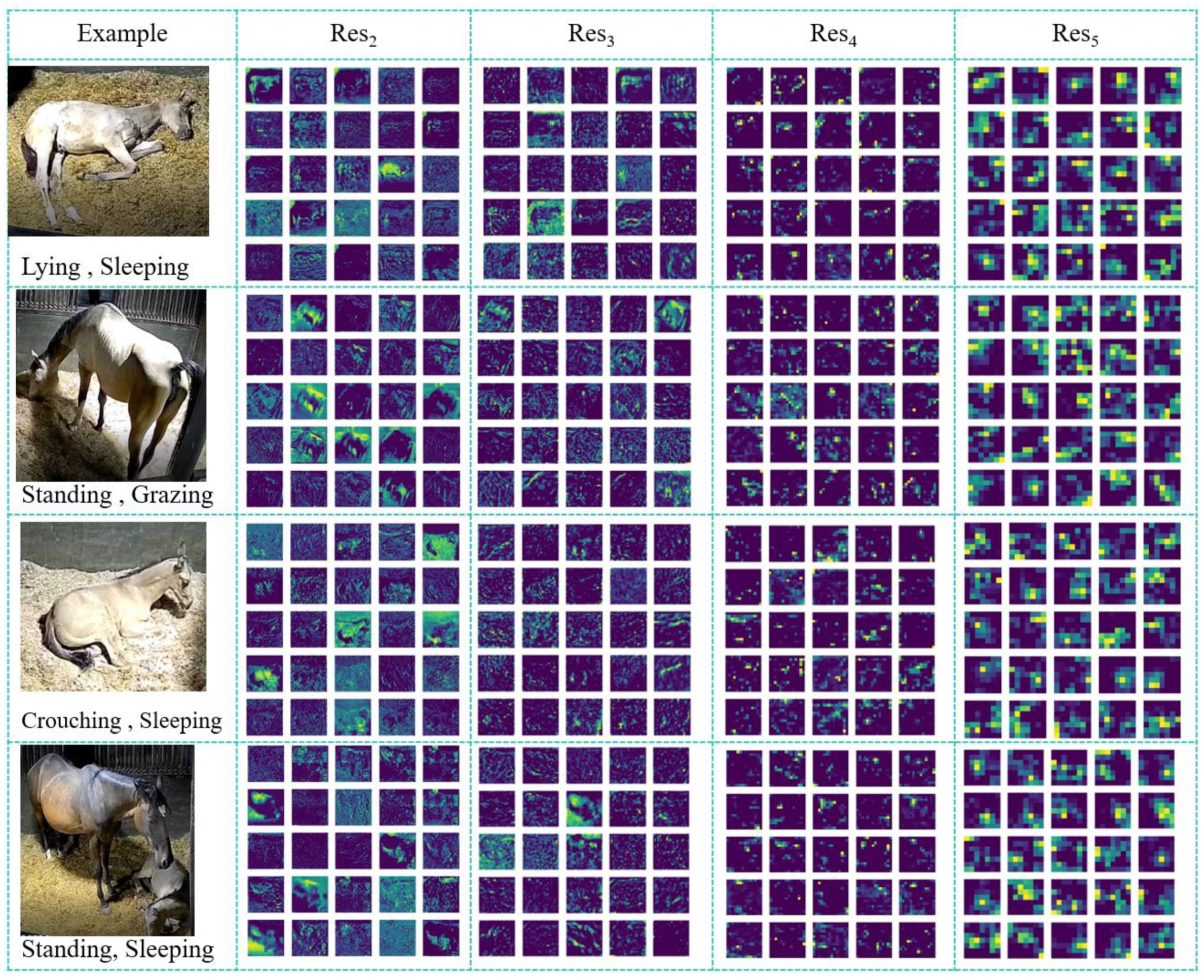 Preprints 116834 g013