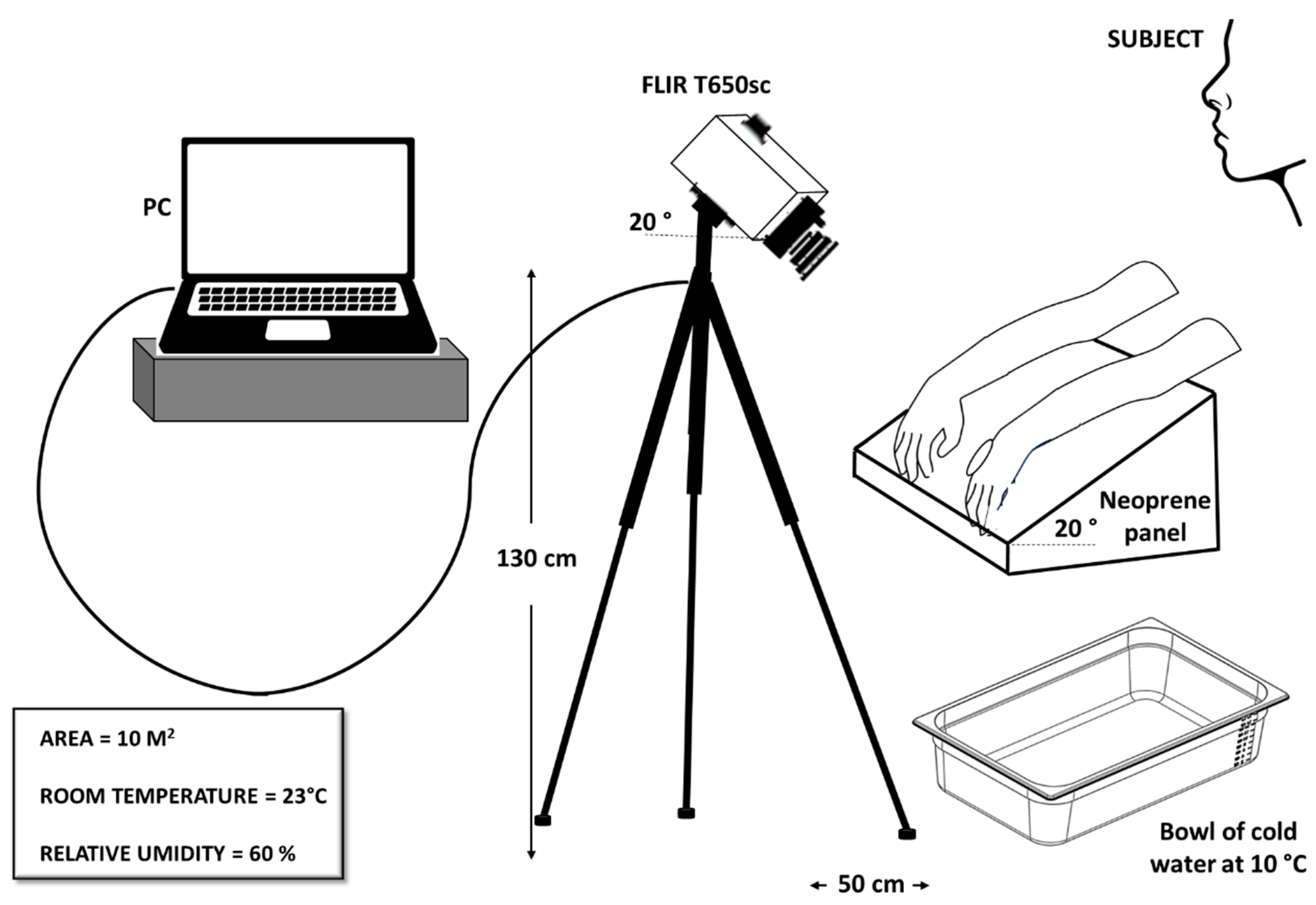 Preprints 113035 g002