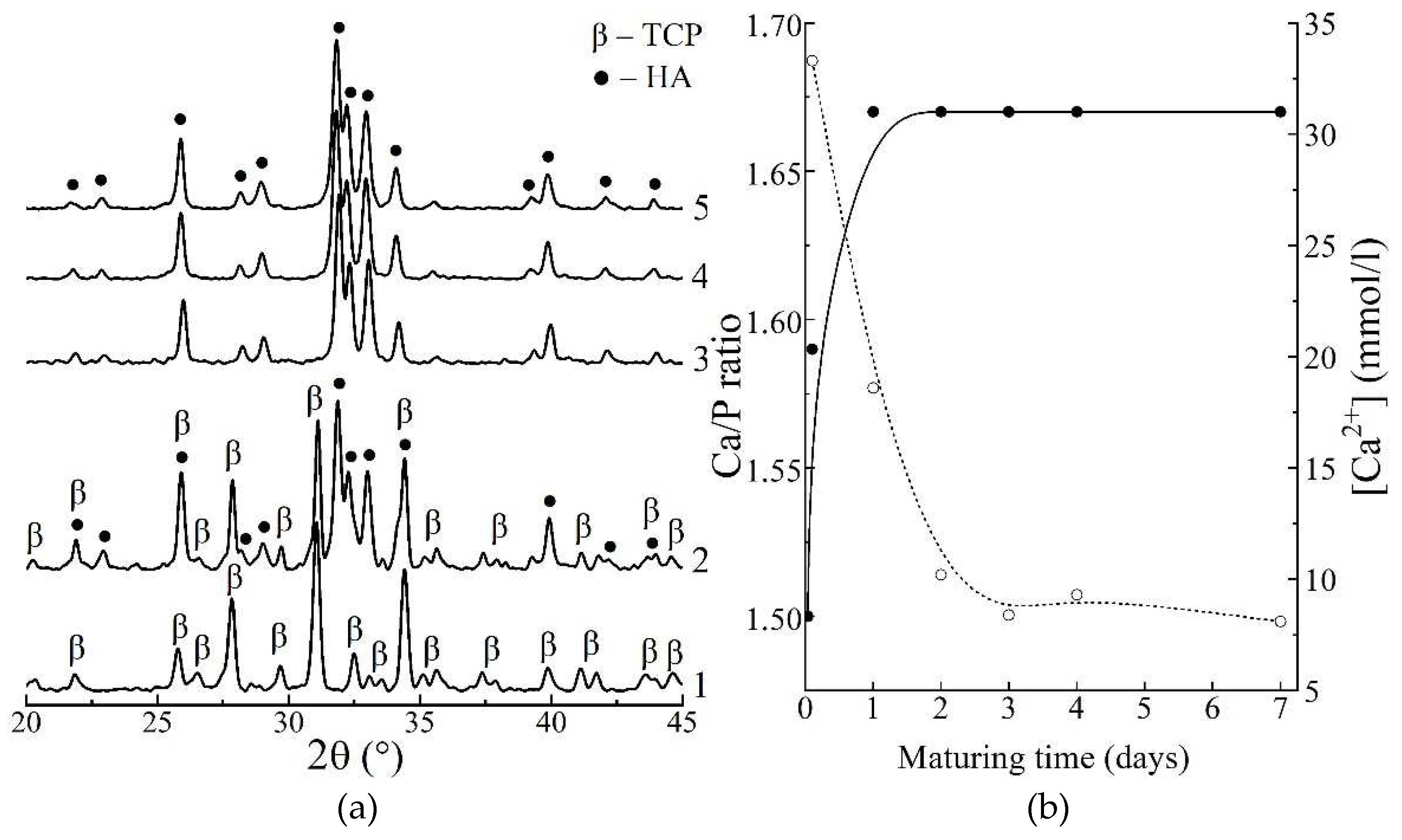 Preprints 75634 g001