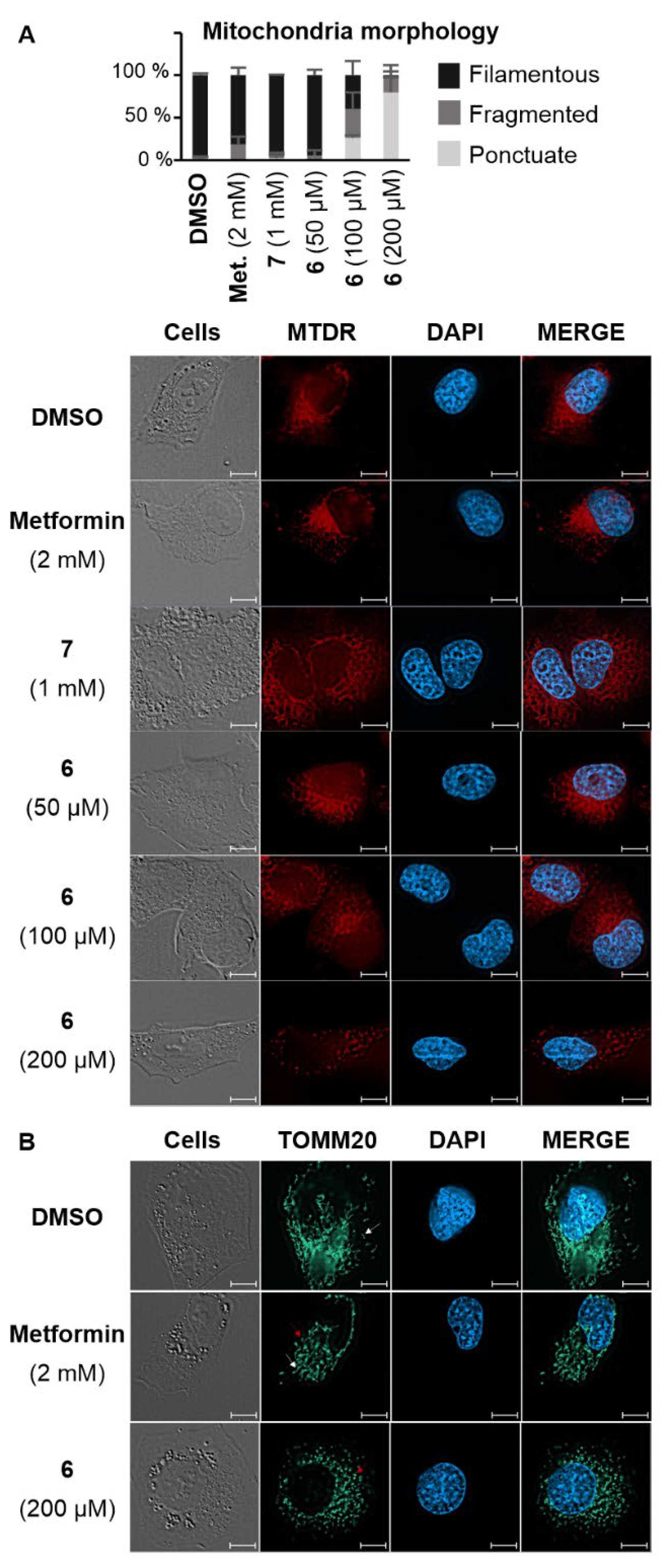 Preprints 112036 g003