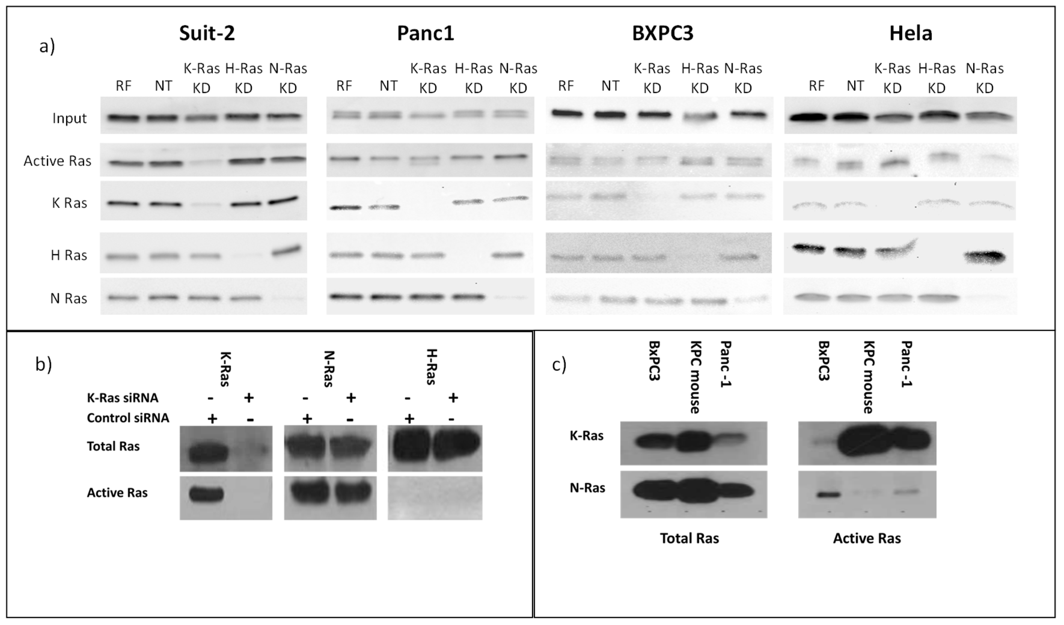 Preprints 68670 g001