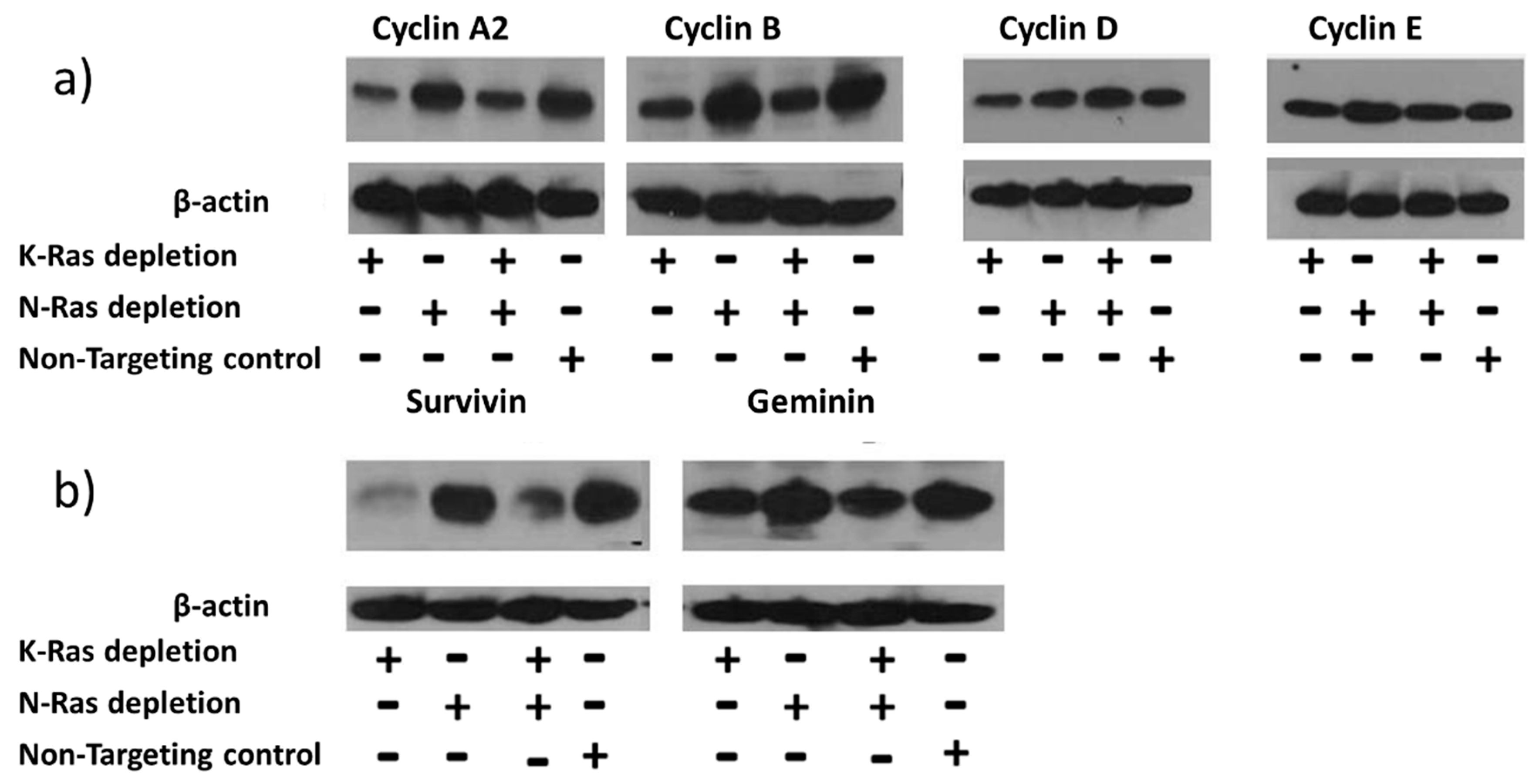 Preprints 68670 g002