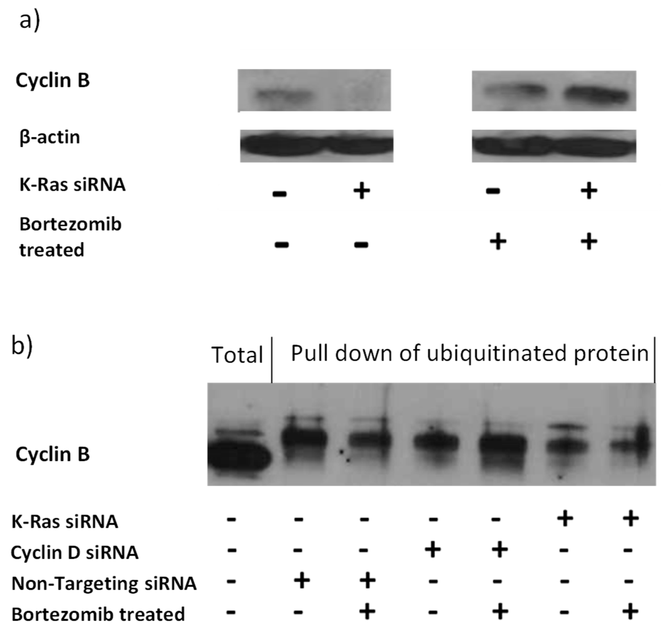 Preprints 68670 g004