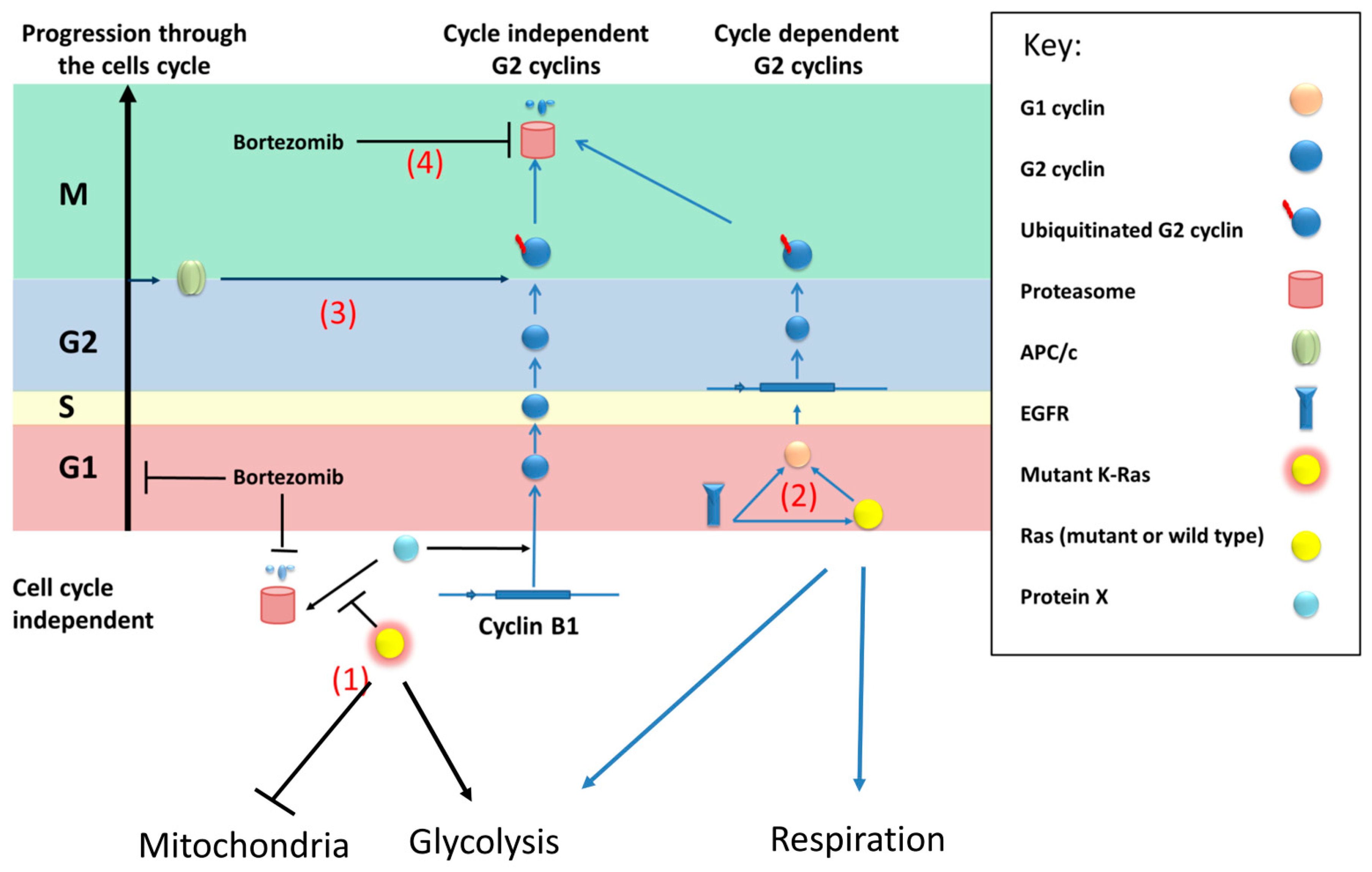 Preprints 68670 g007