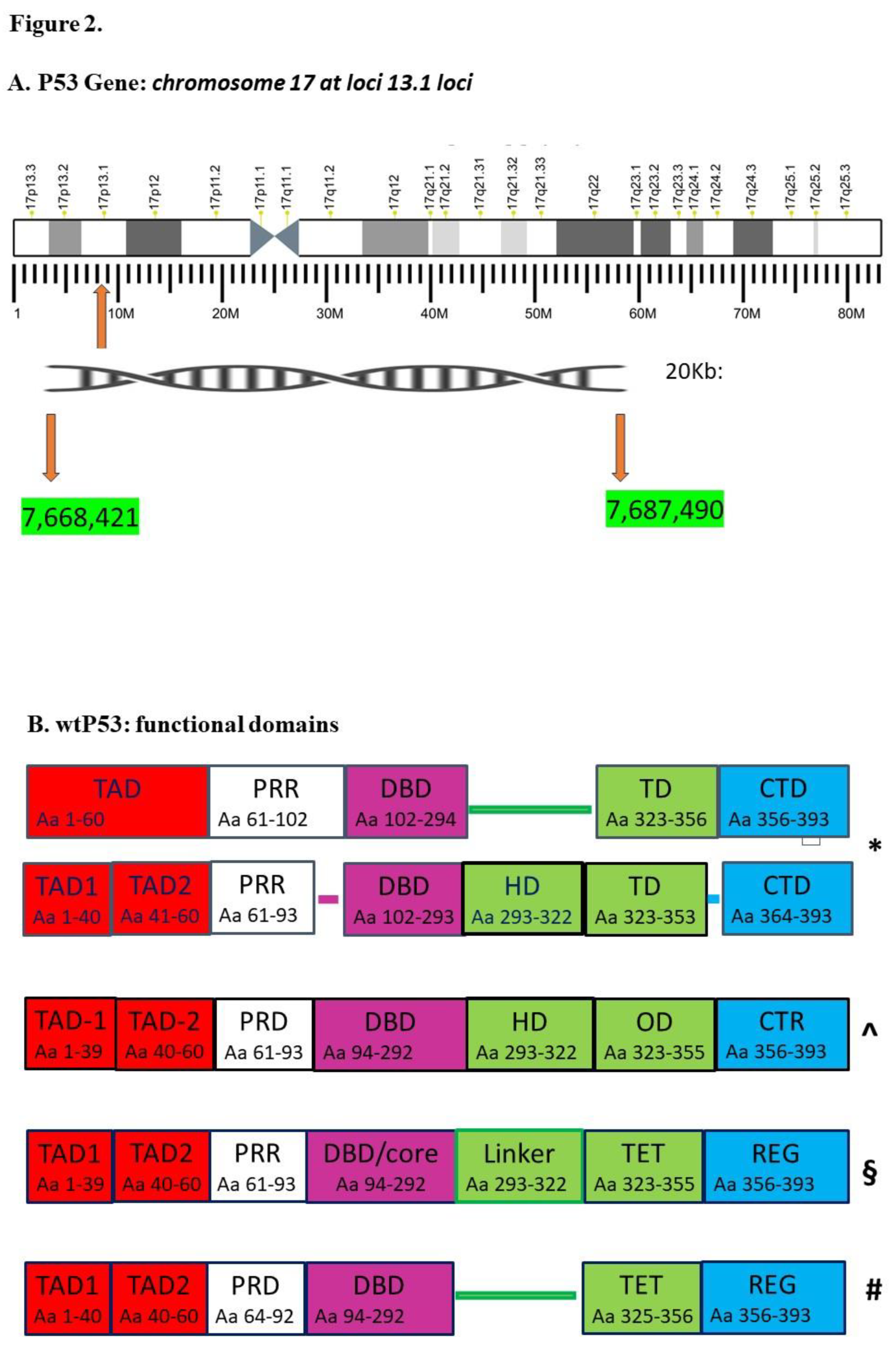 Preprints 112269 g002