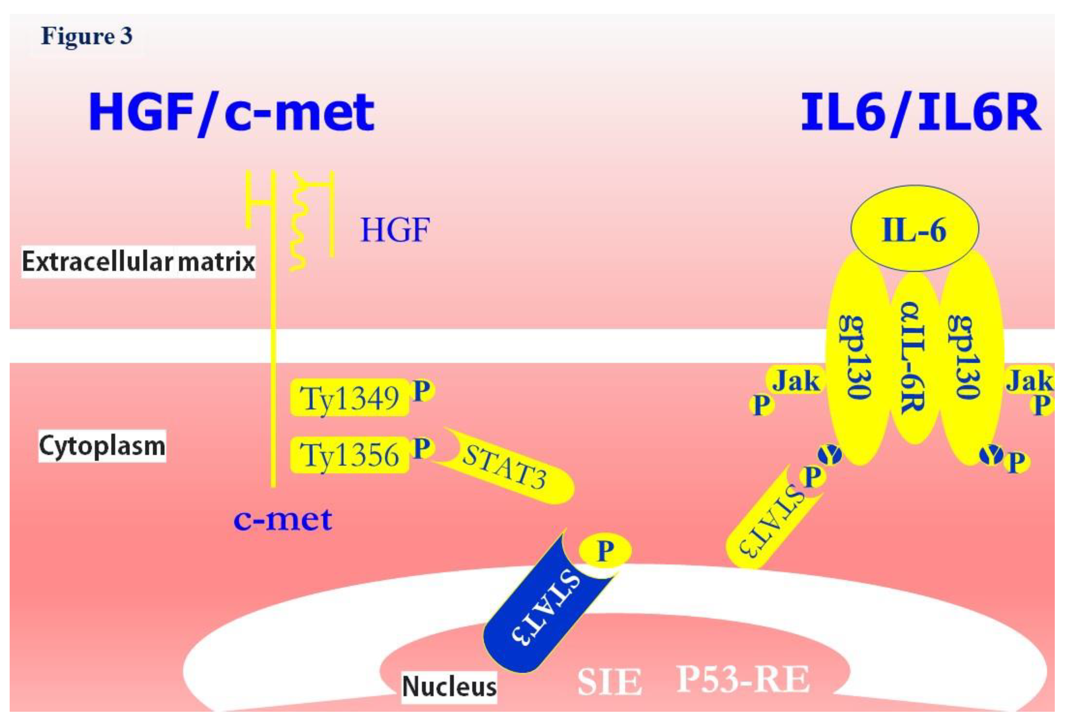 Preprints 112269 g003