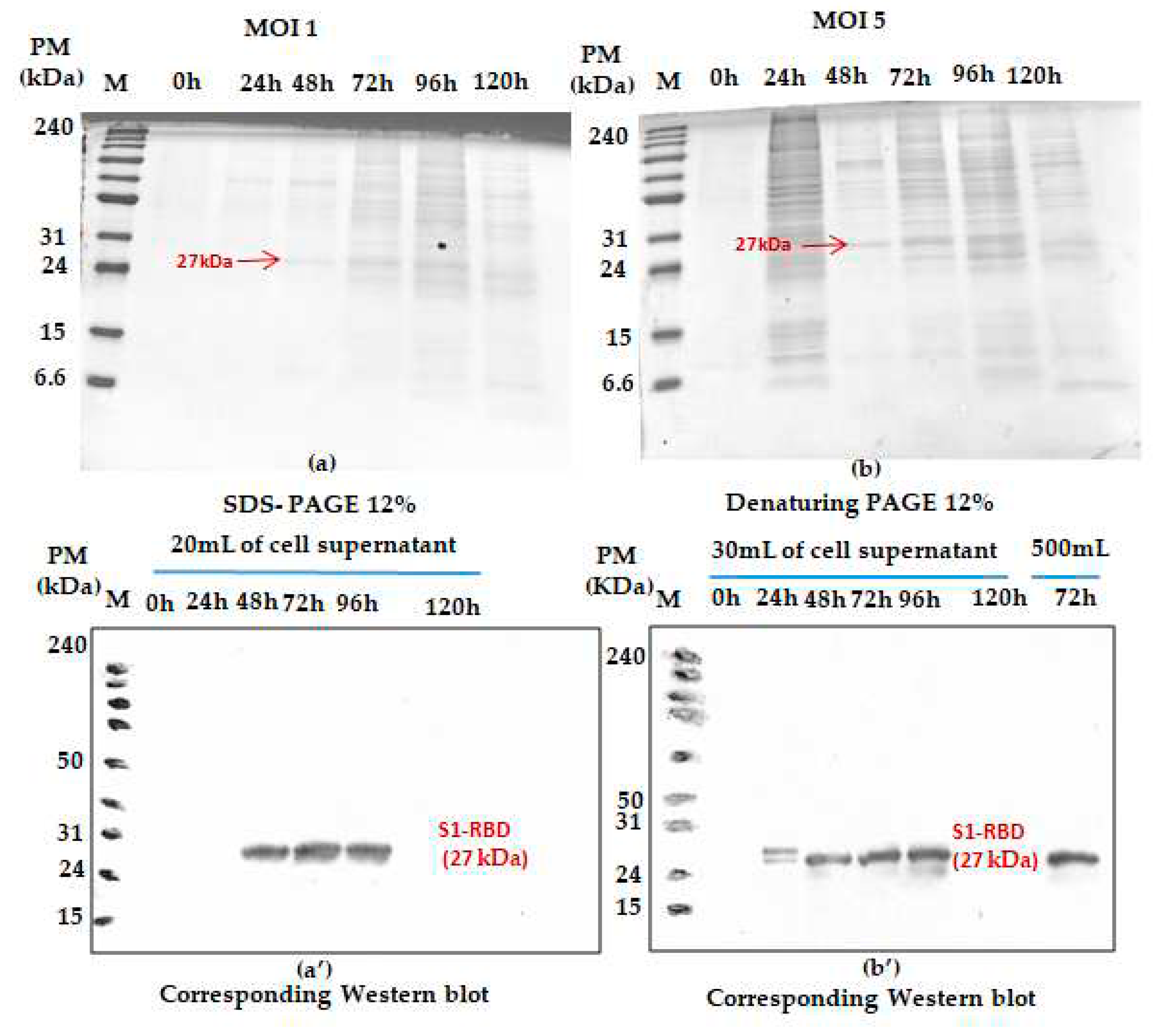 Preprints 83051 g002