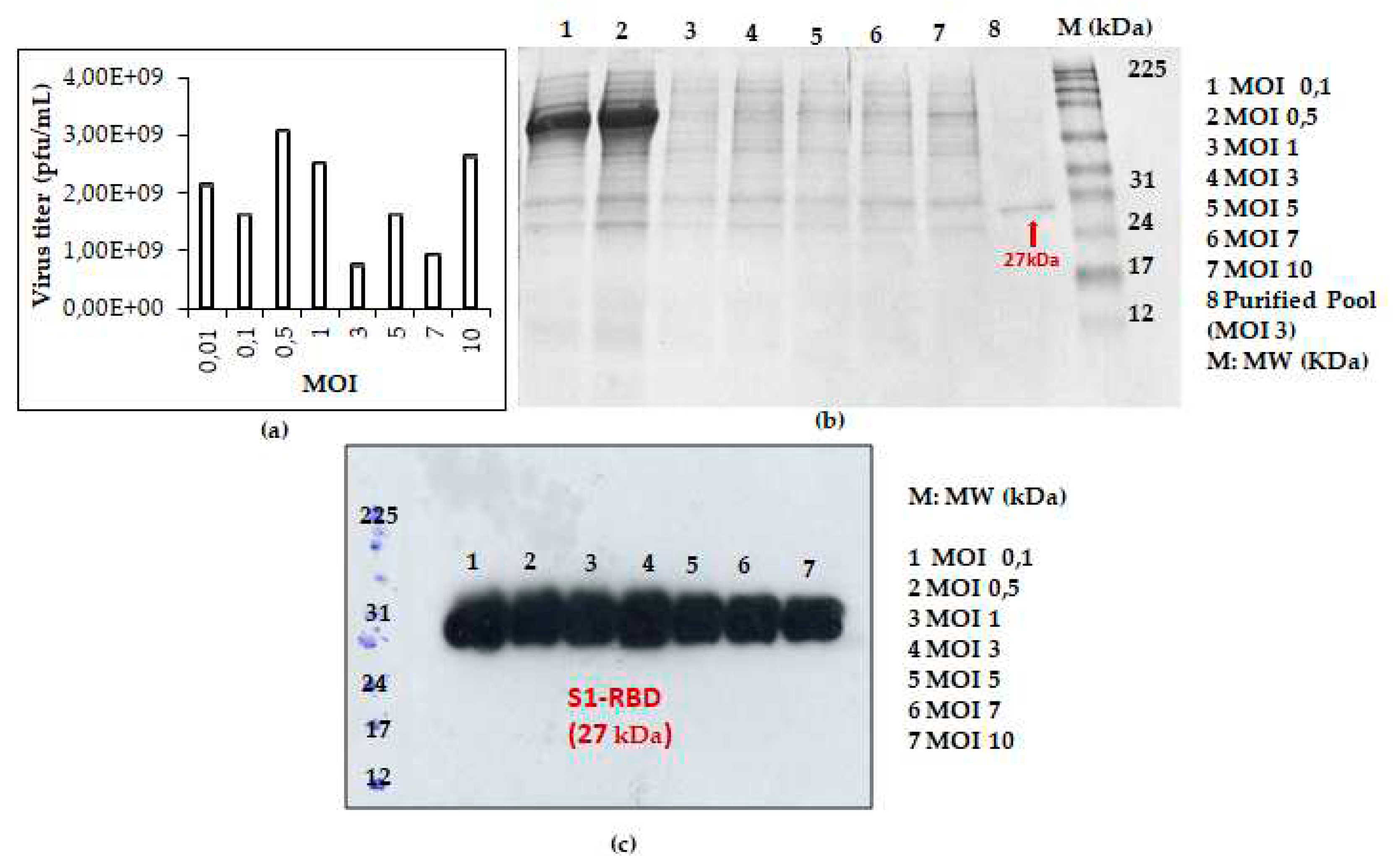 Preprints 83051 g003