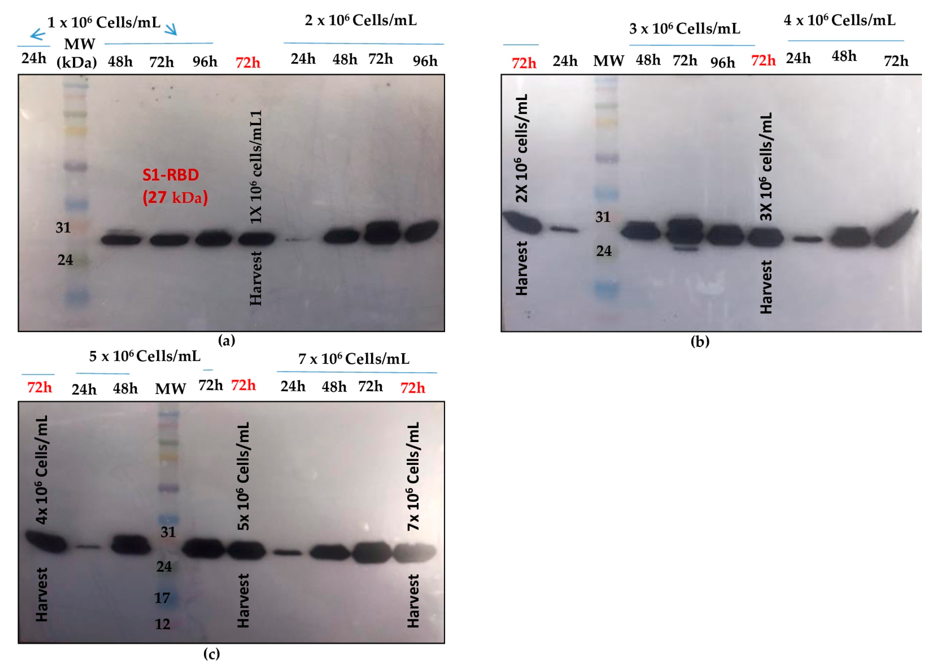 Preprints 83051 g004