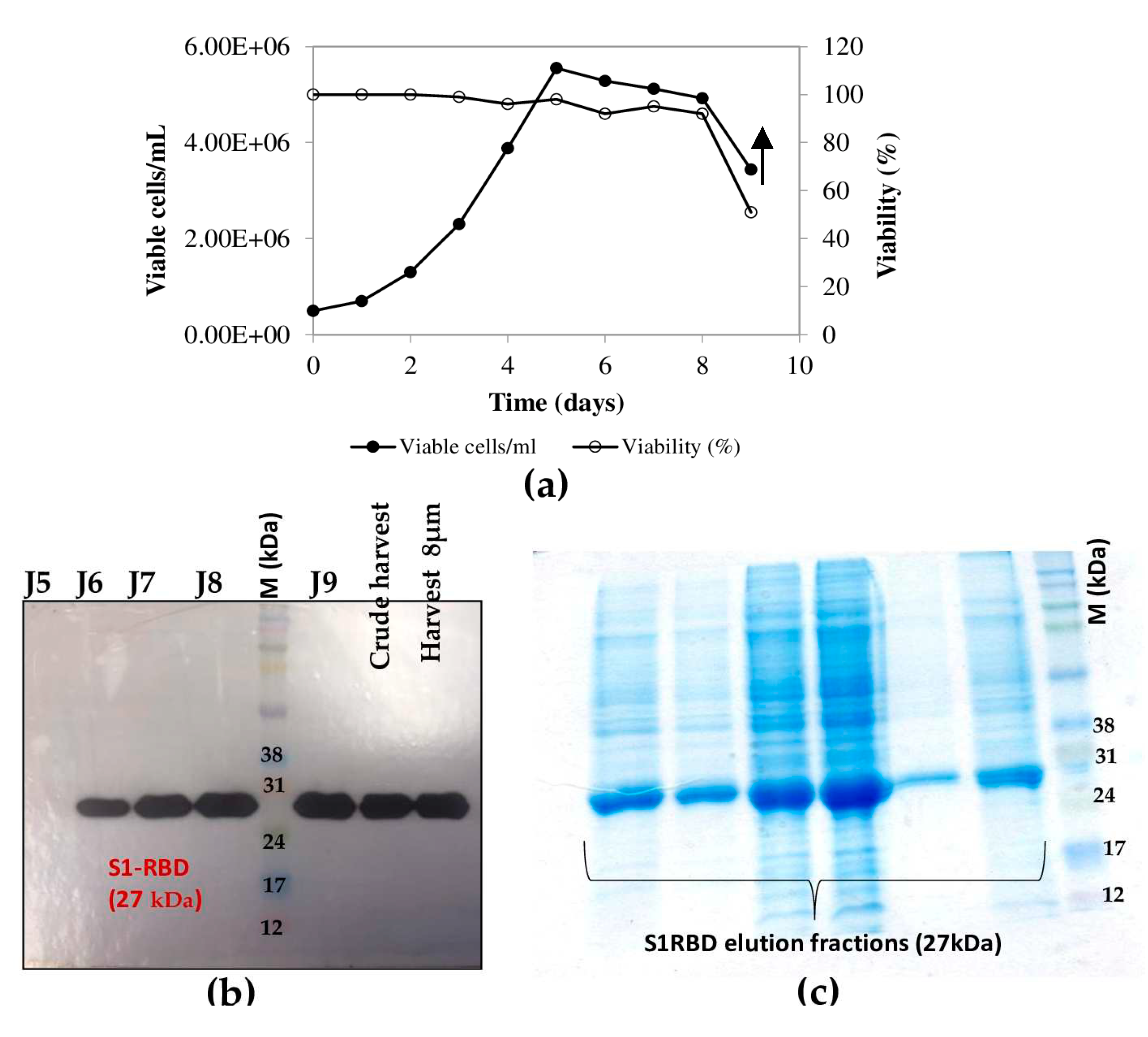 Preprints 83051 g005