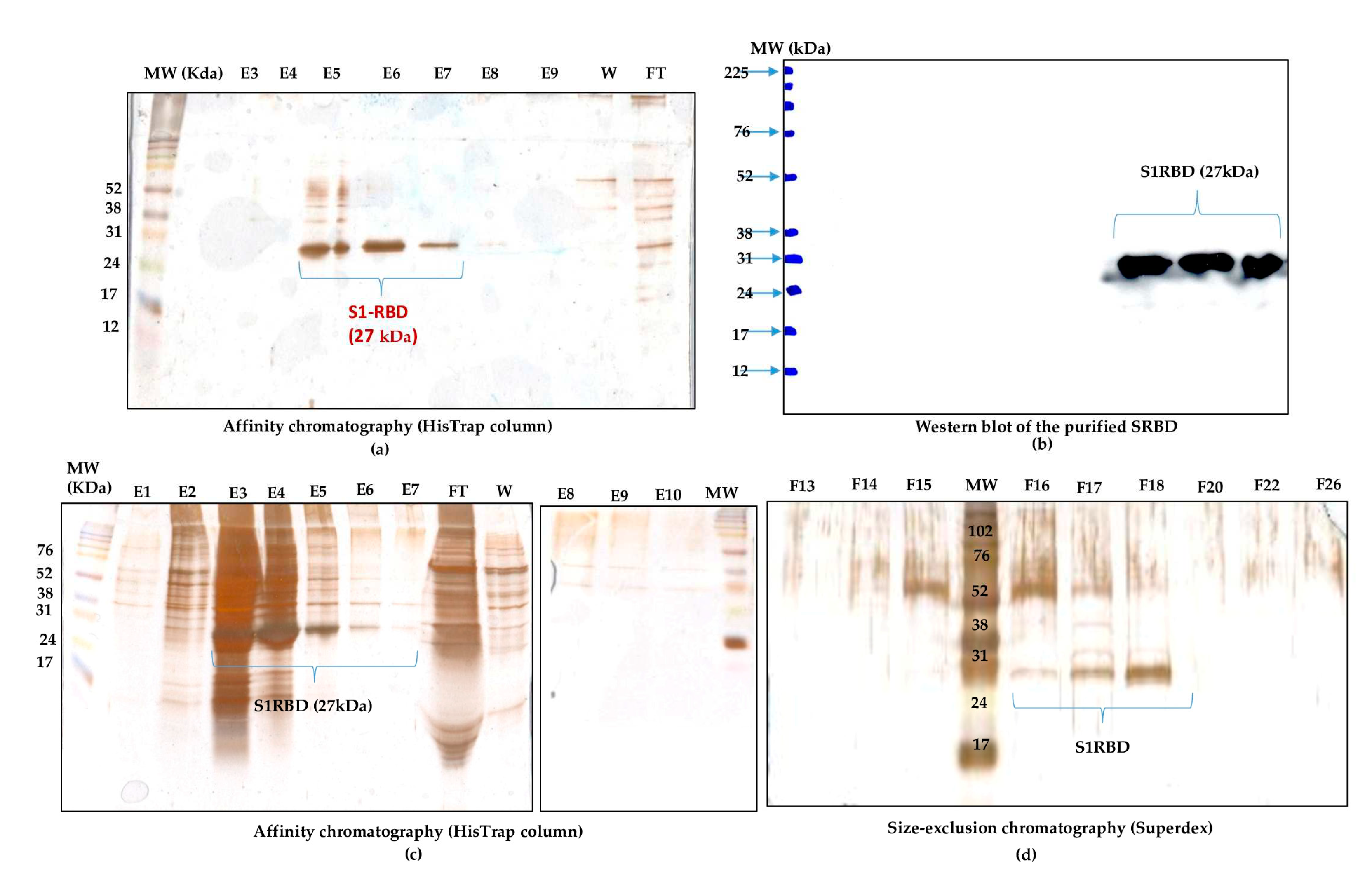 Preprints 83051 g006