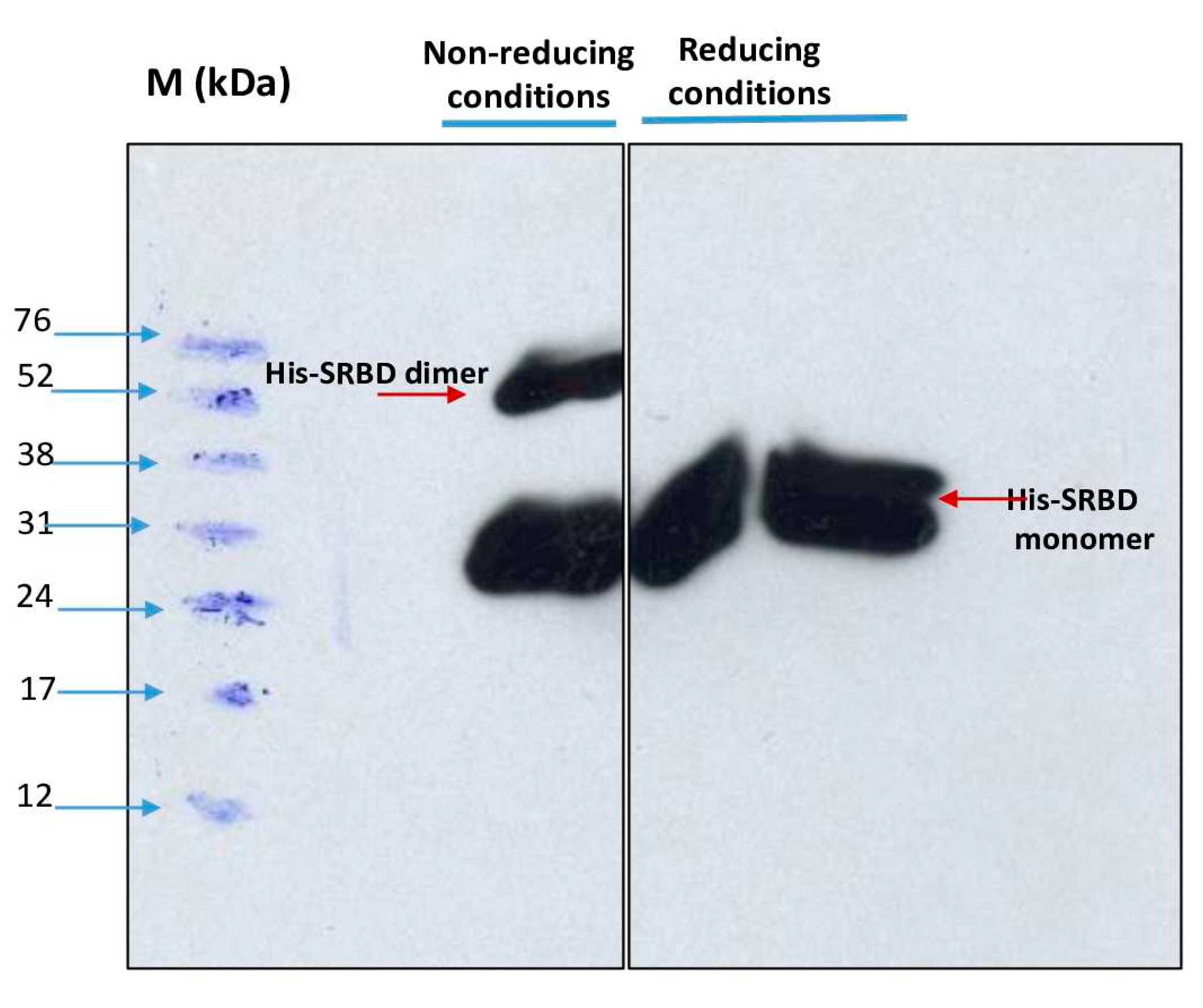 Preprints 83051 g007