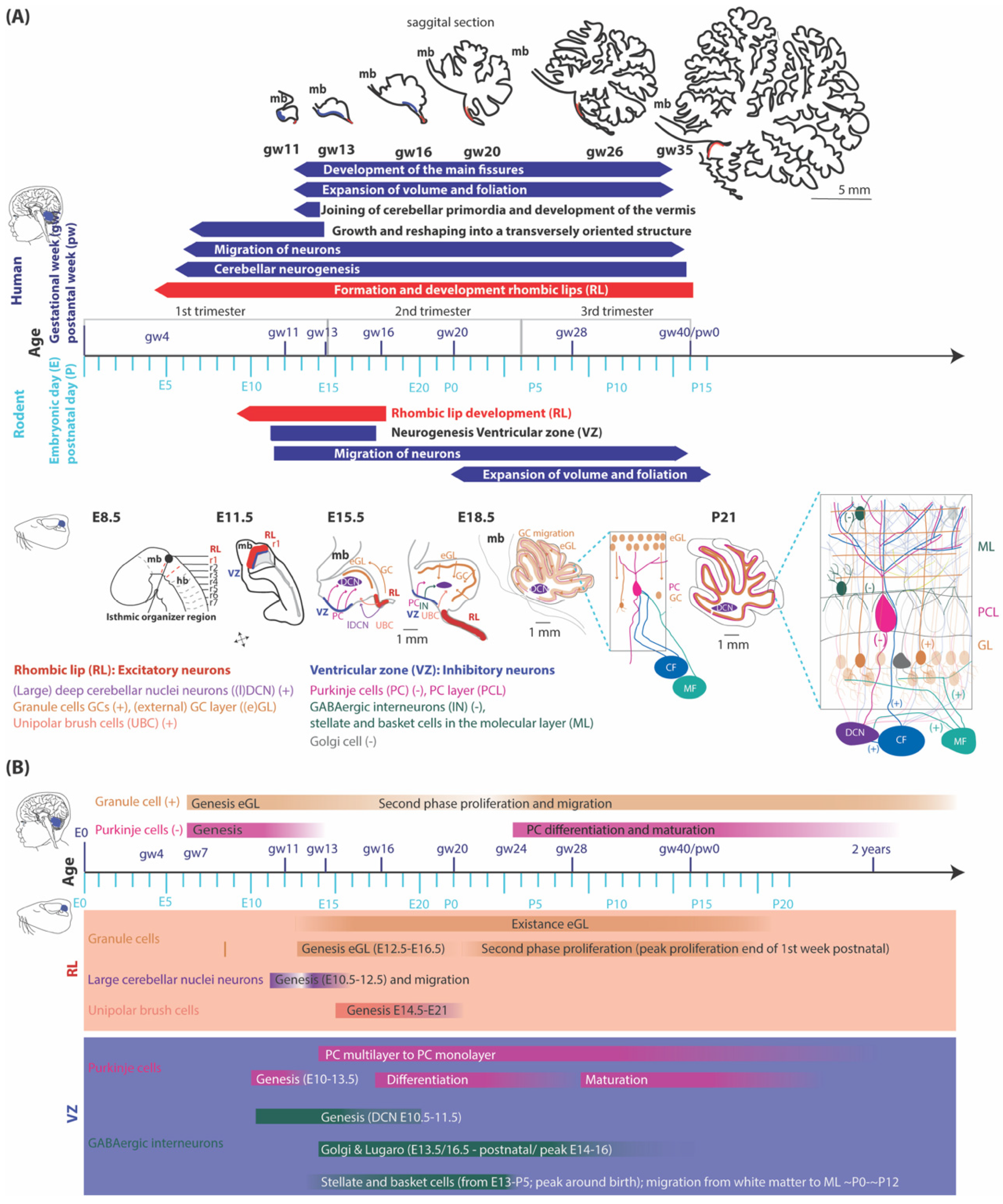 Preprints 89052 g001