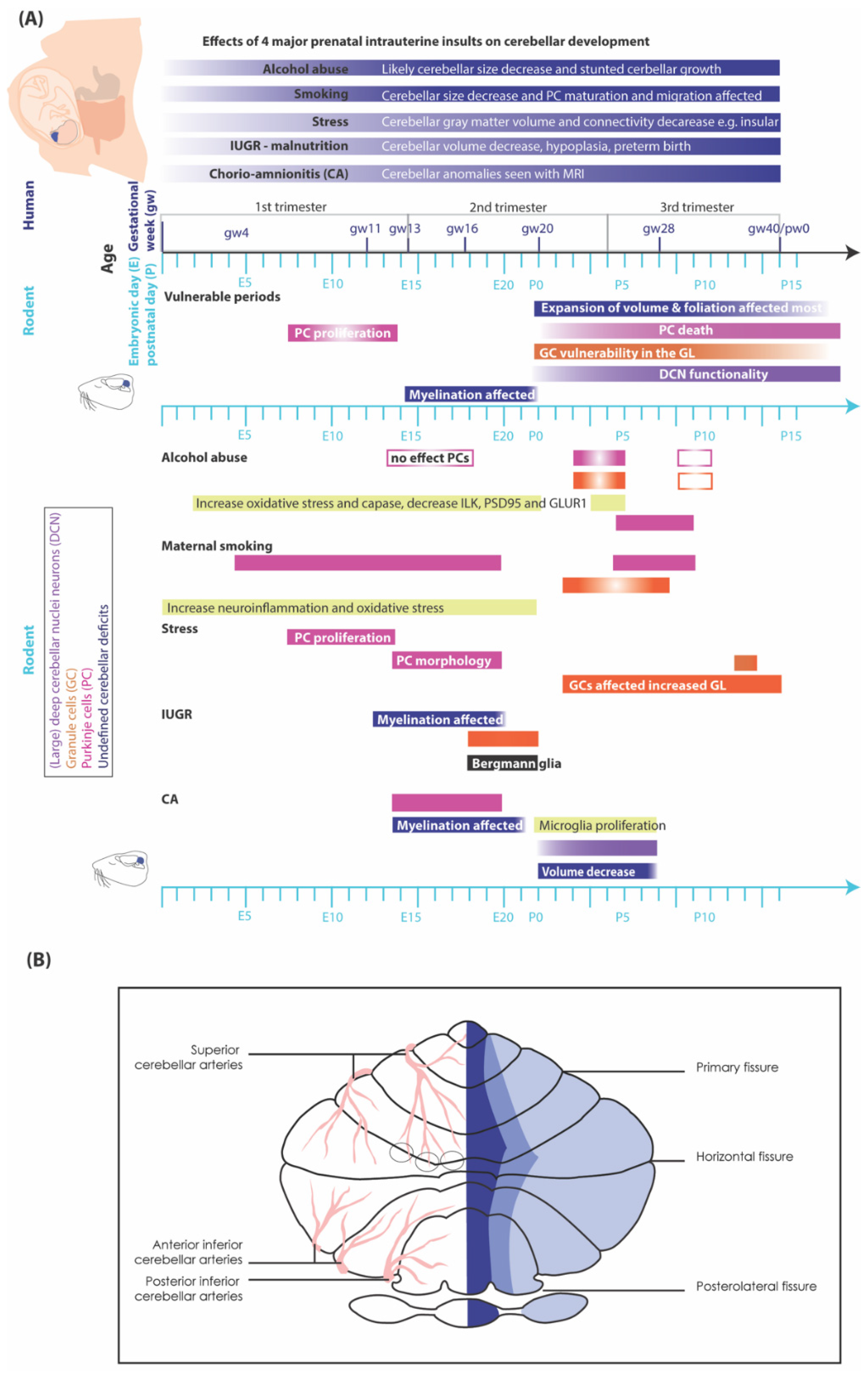 Preprints 89052 g002