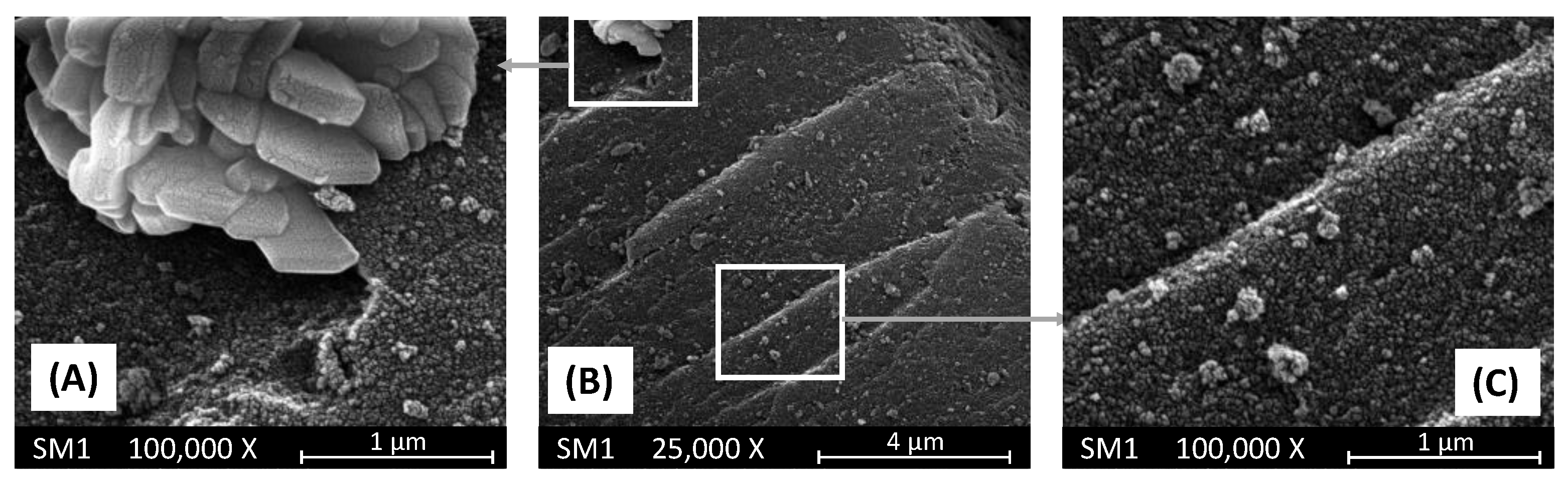 Preprints 71016 g003