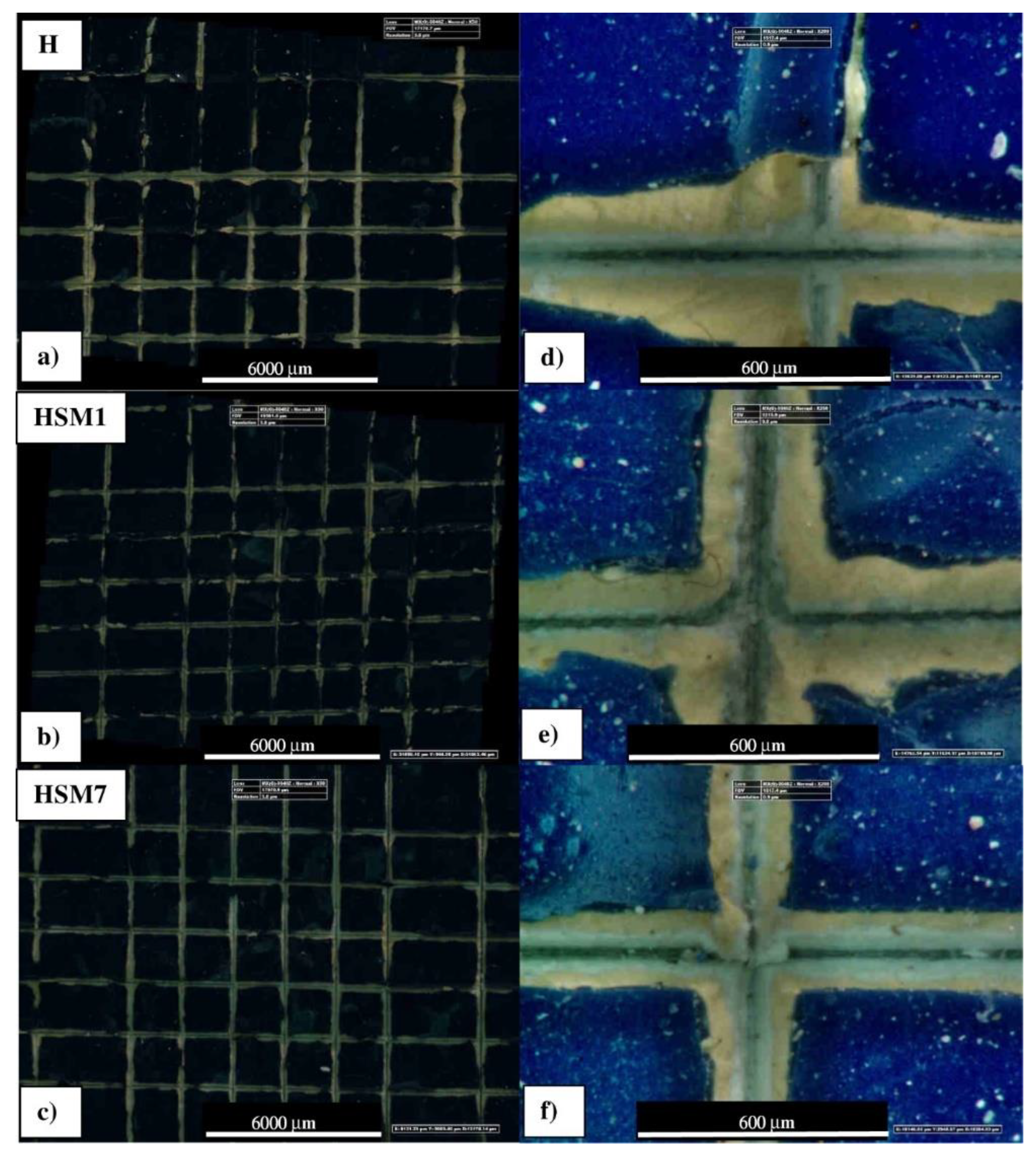 Preprints 71016 g005