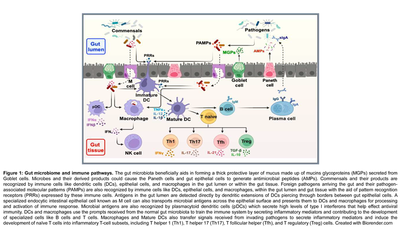 Preprints 116213 i001