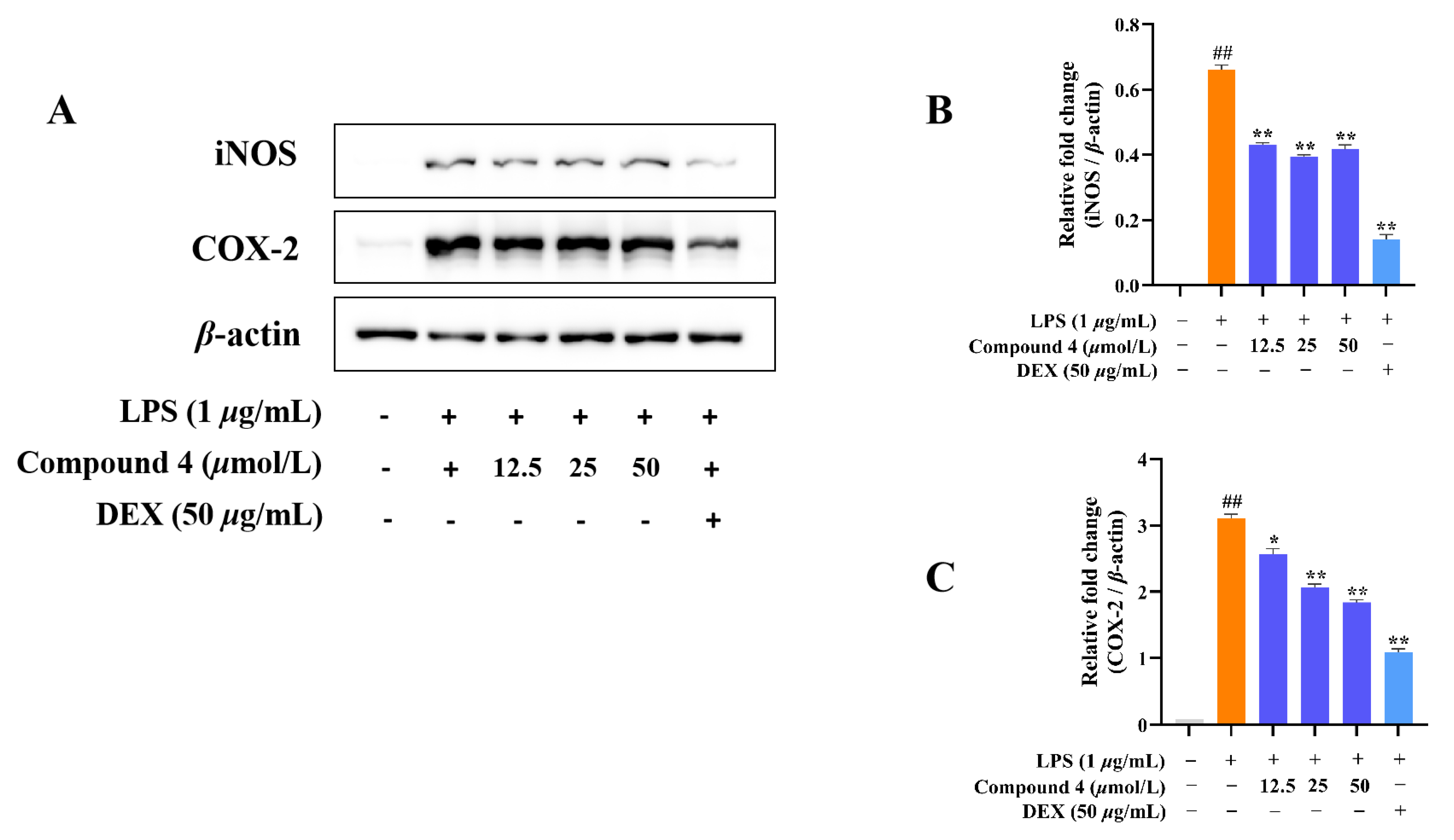 Preprints 72691 g010