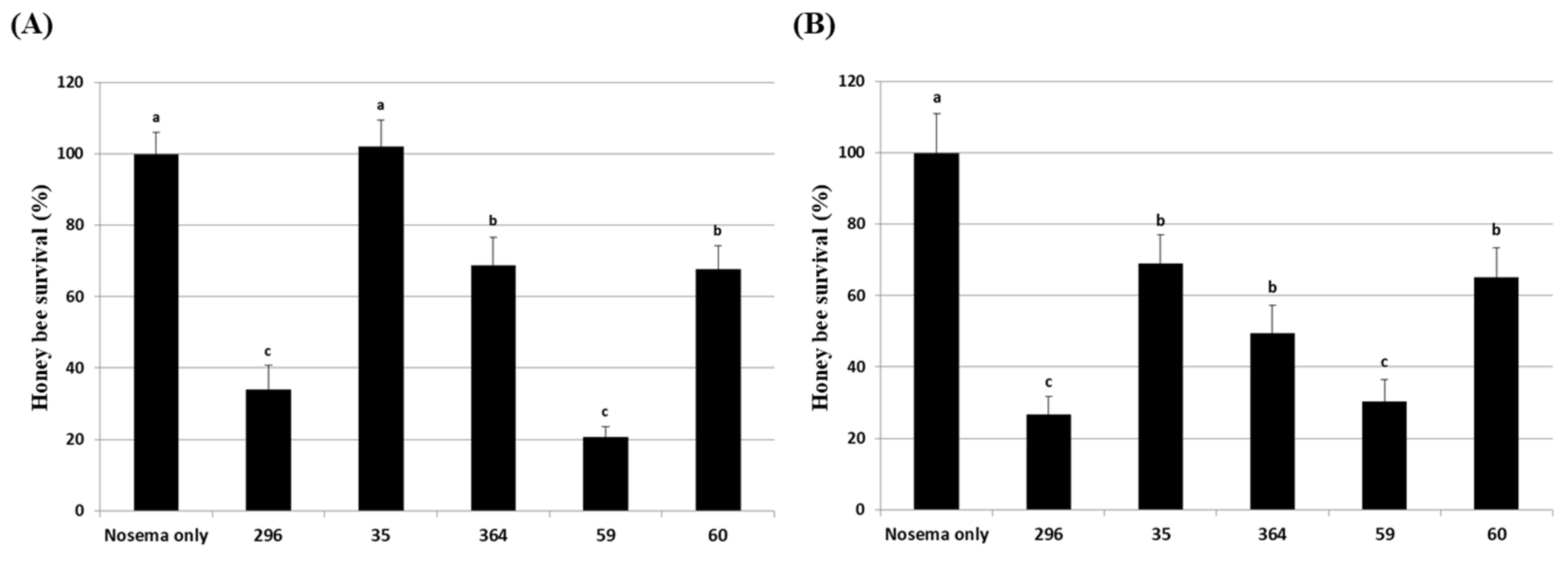 Preprints 71918 g006