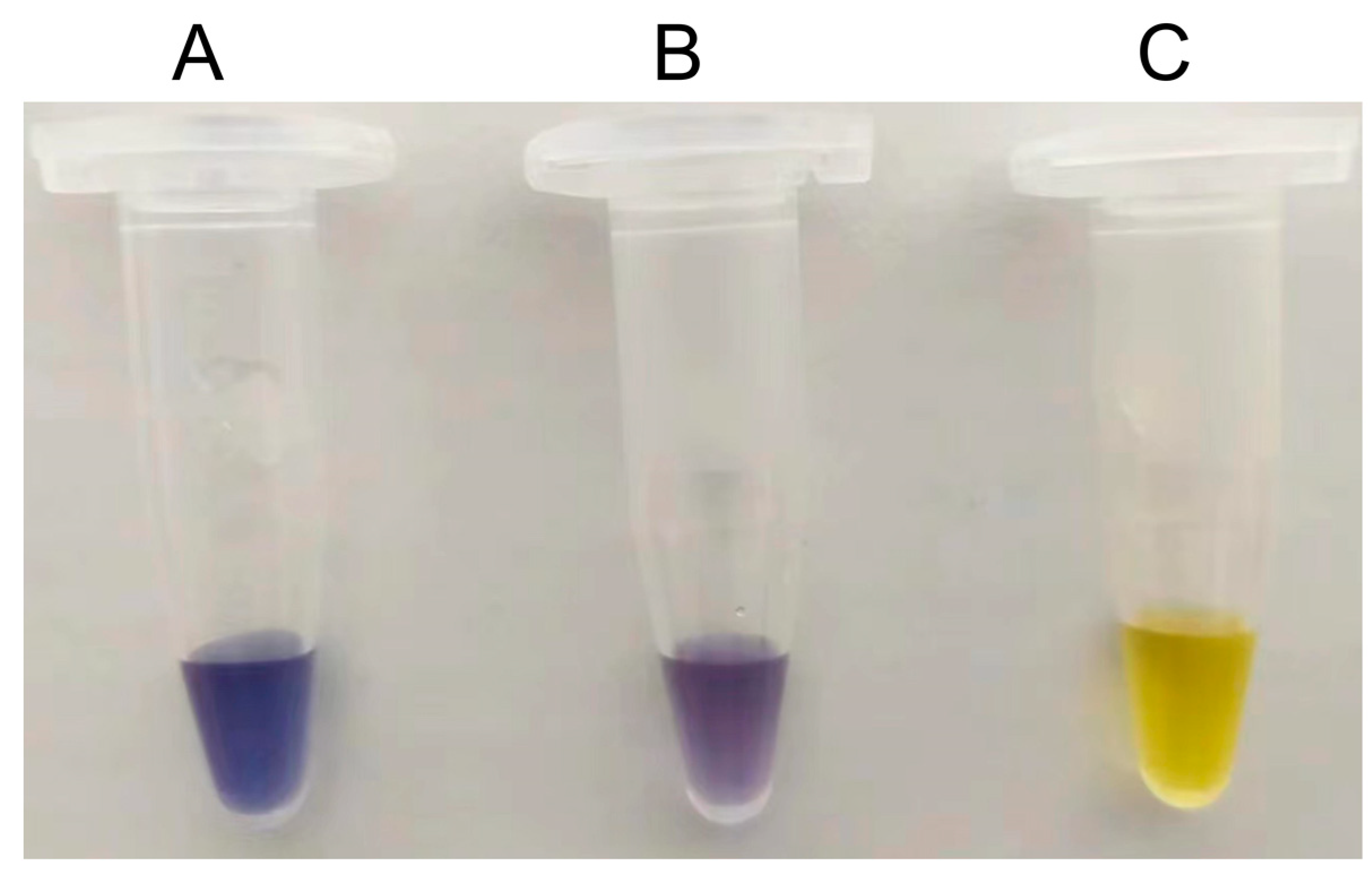 Preprints 82774 g003