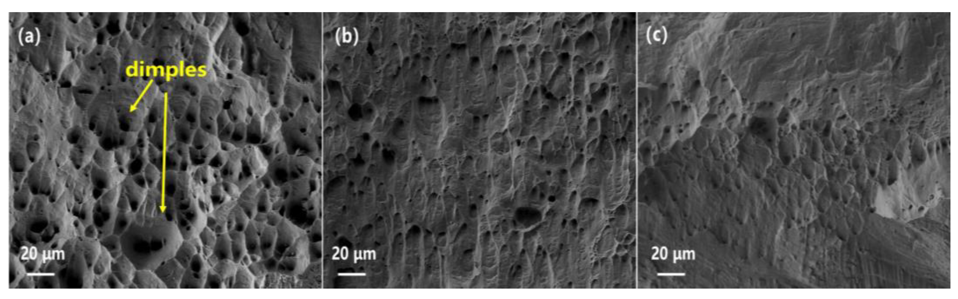 Preprints 70904 g007