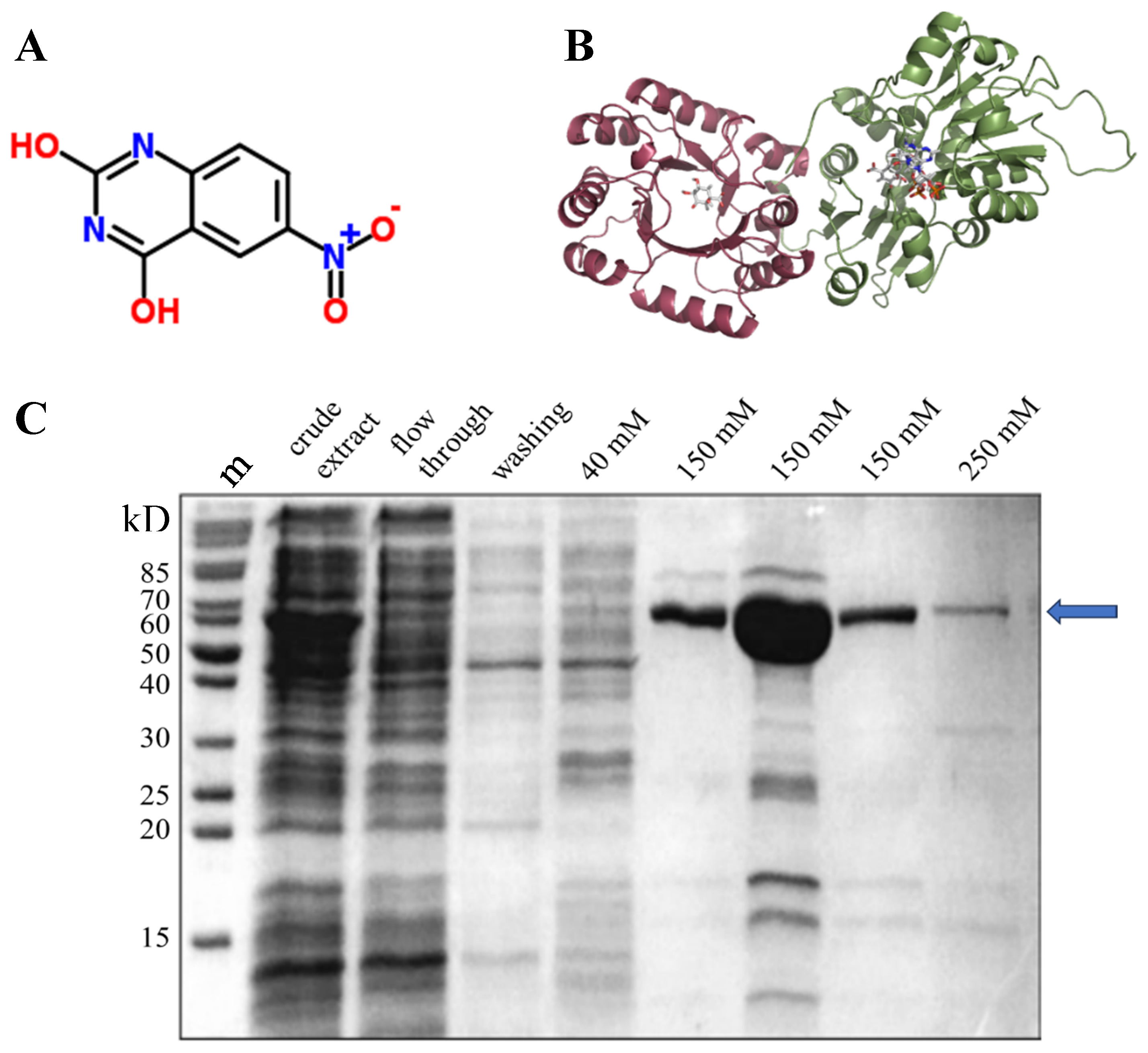 Preprints 101618 g002