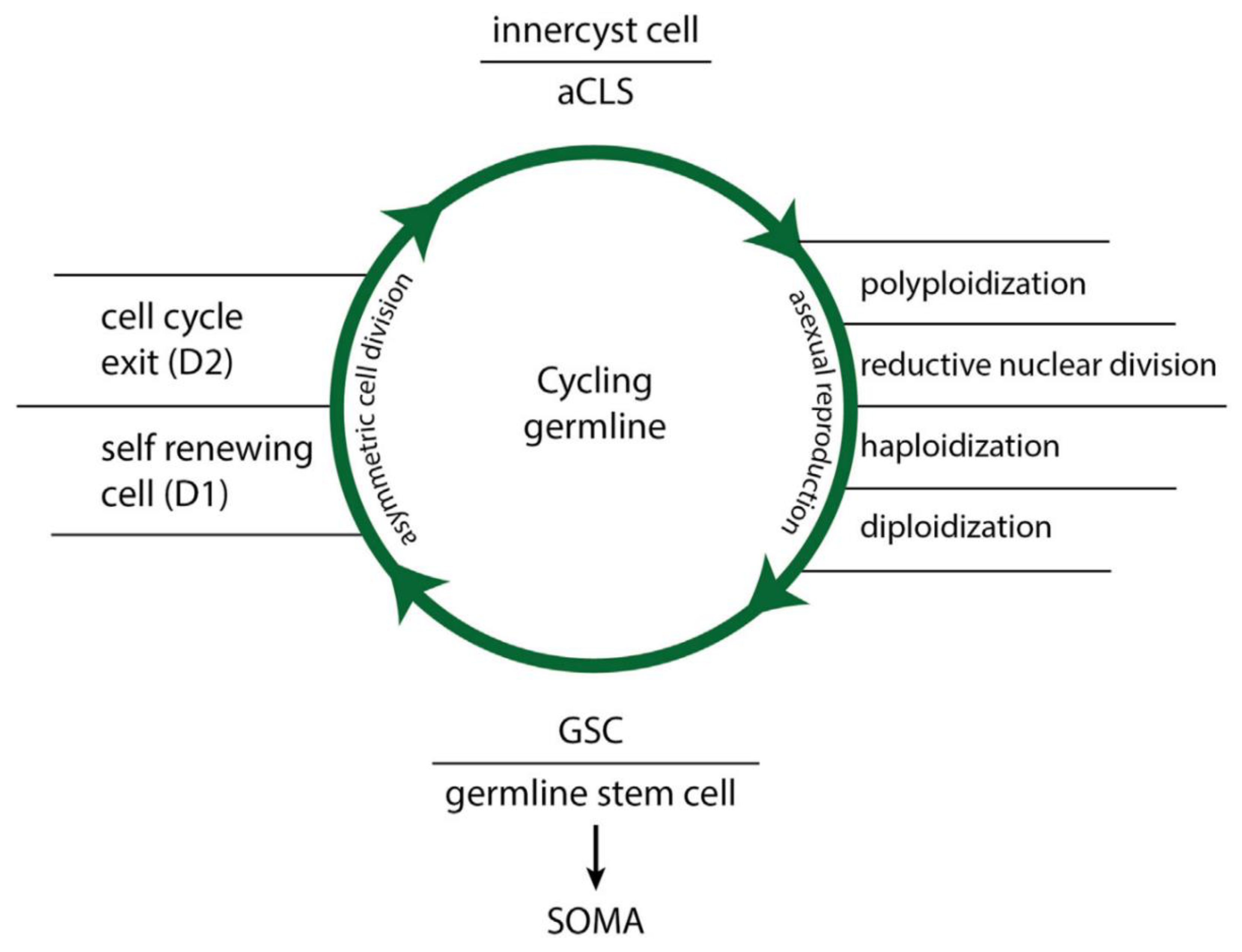 Preprints 100162 g001