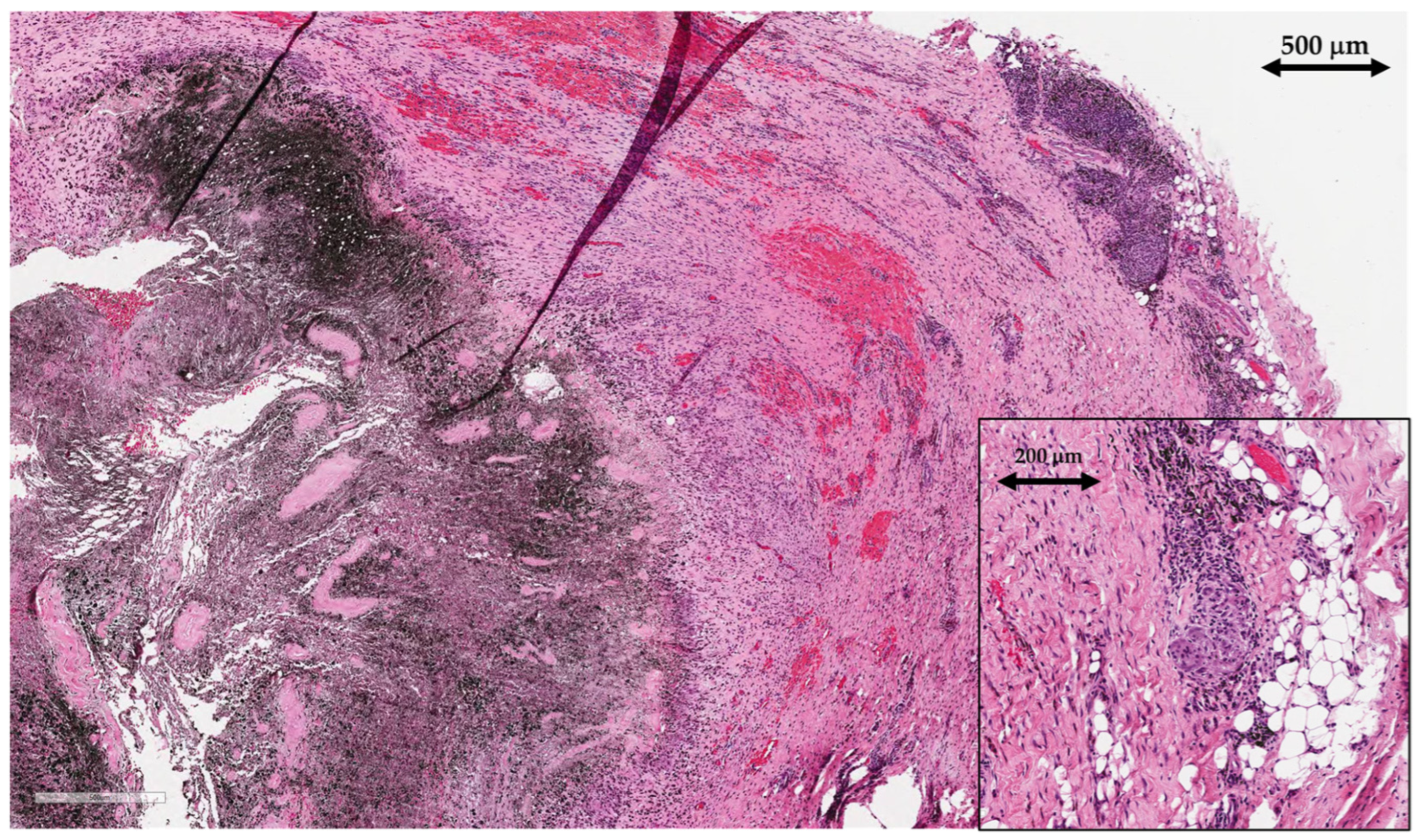 Preprints 97011 g006