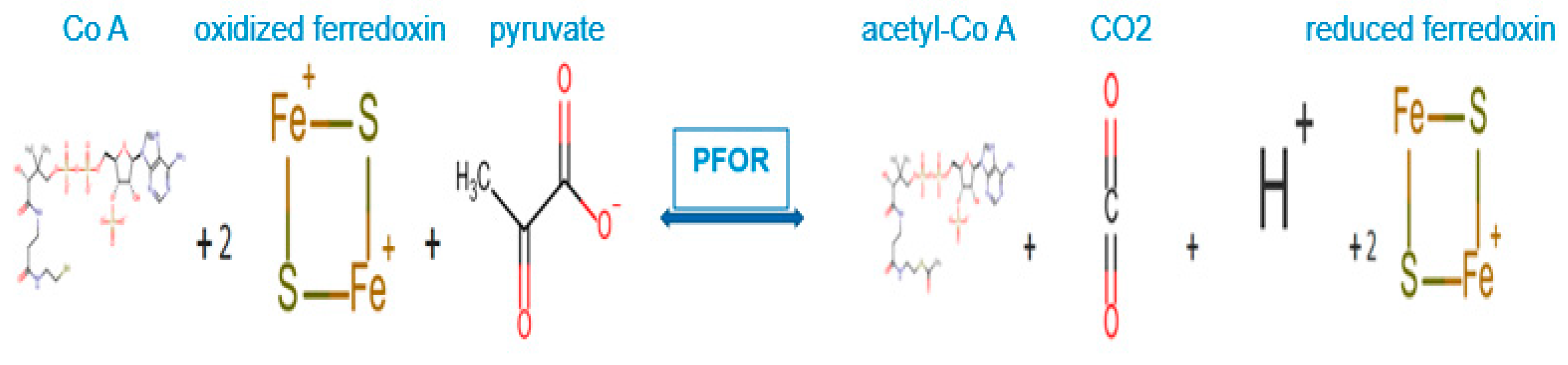 Preprints 91477 g005