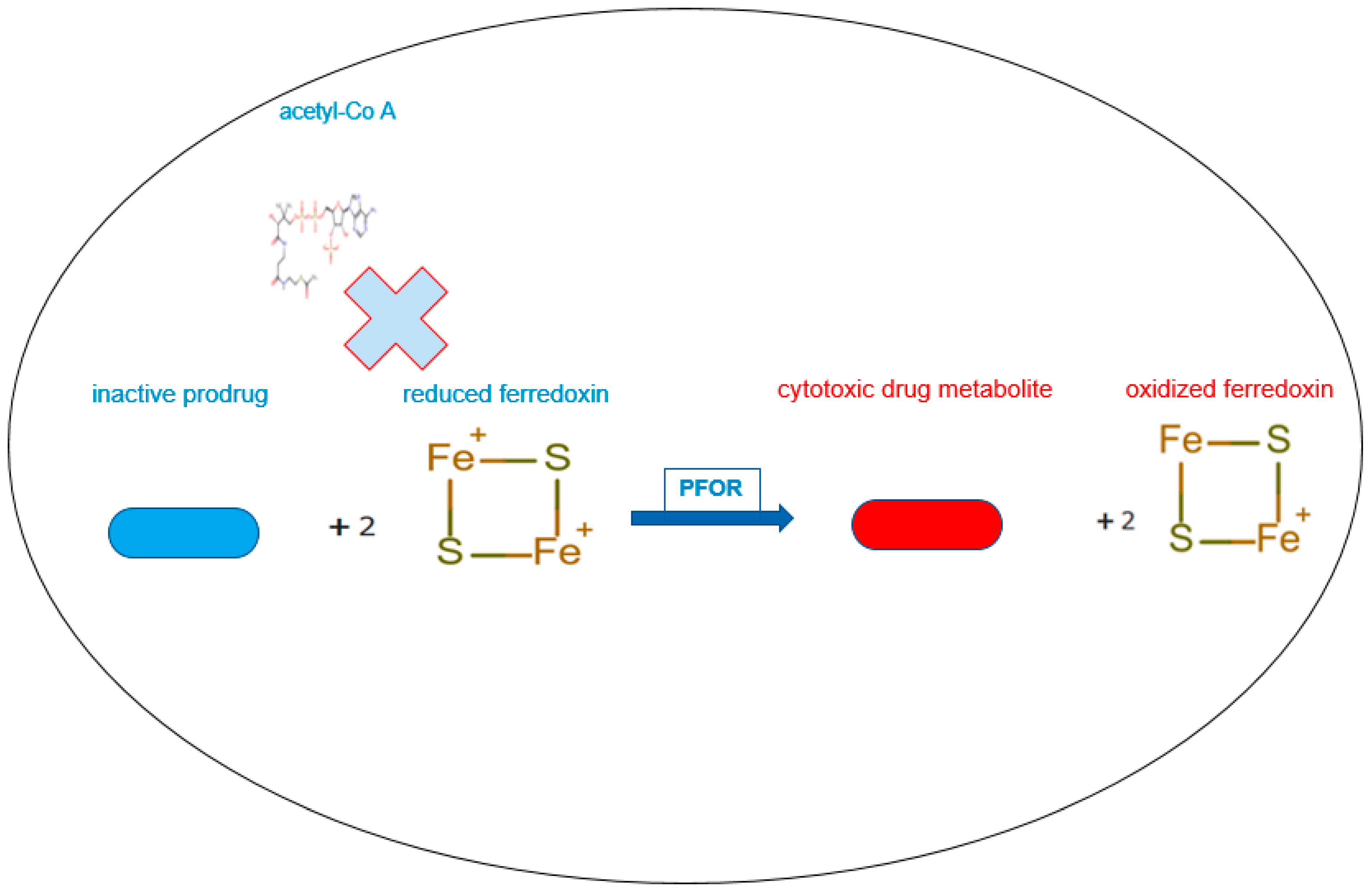 Preprints 91477 g006