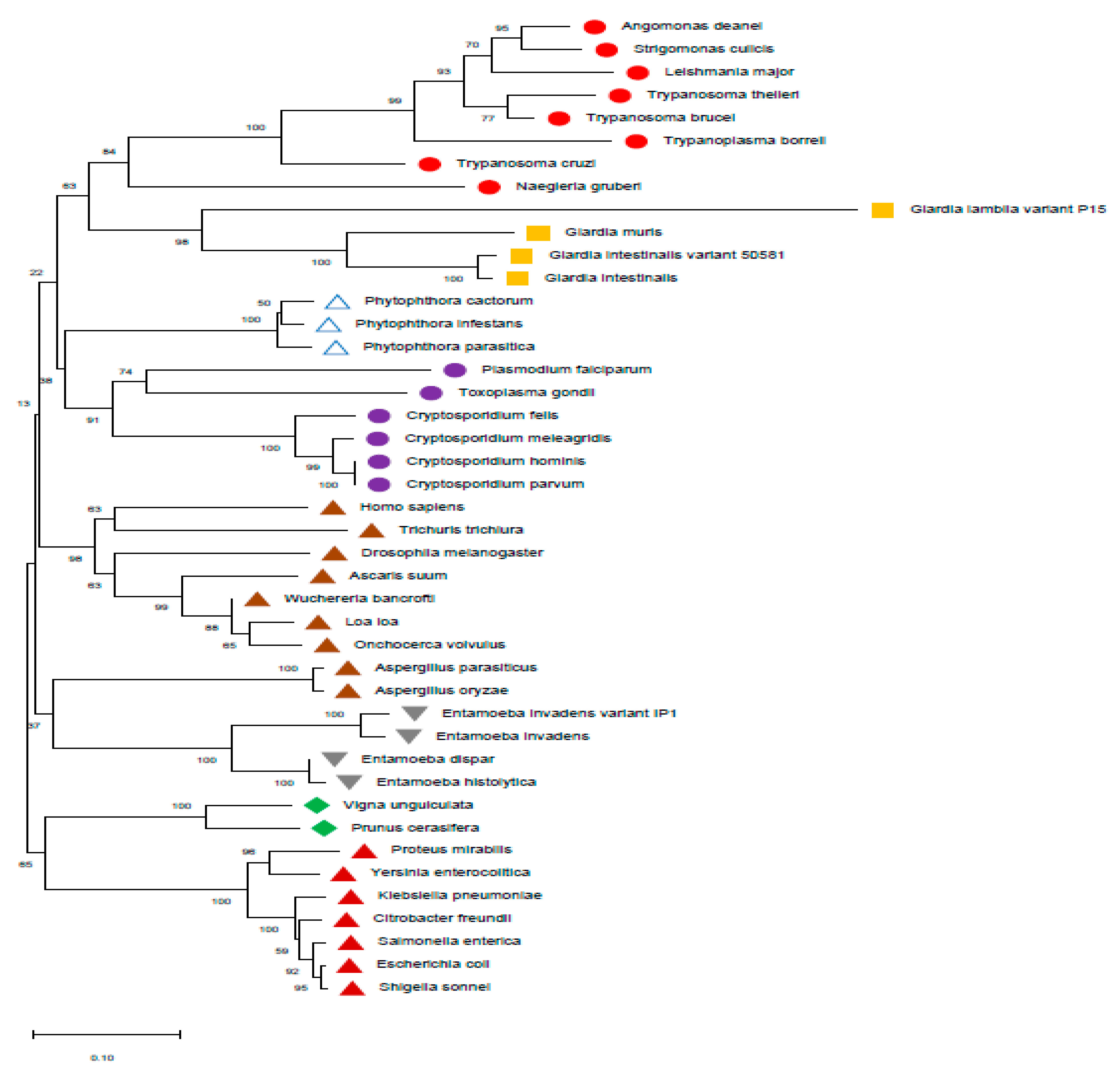 Preprints 91477 g013