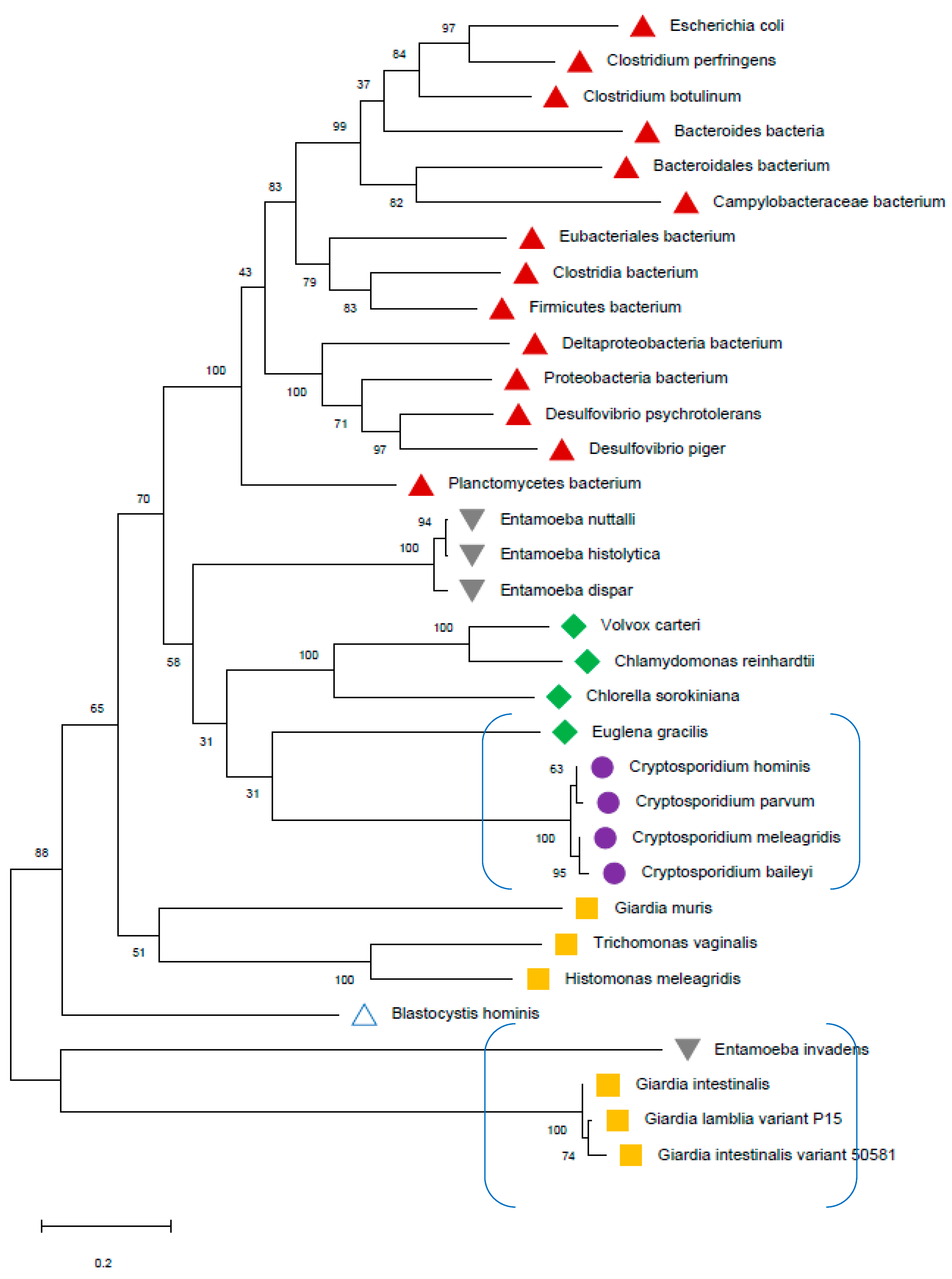 Preprints 91477 g014