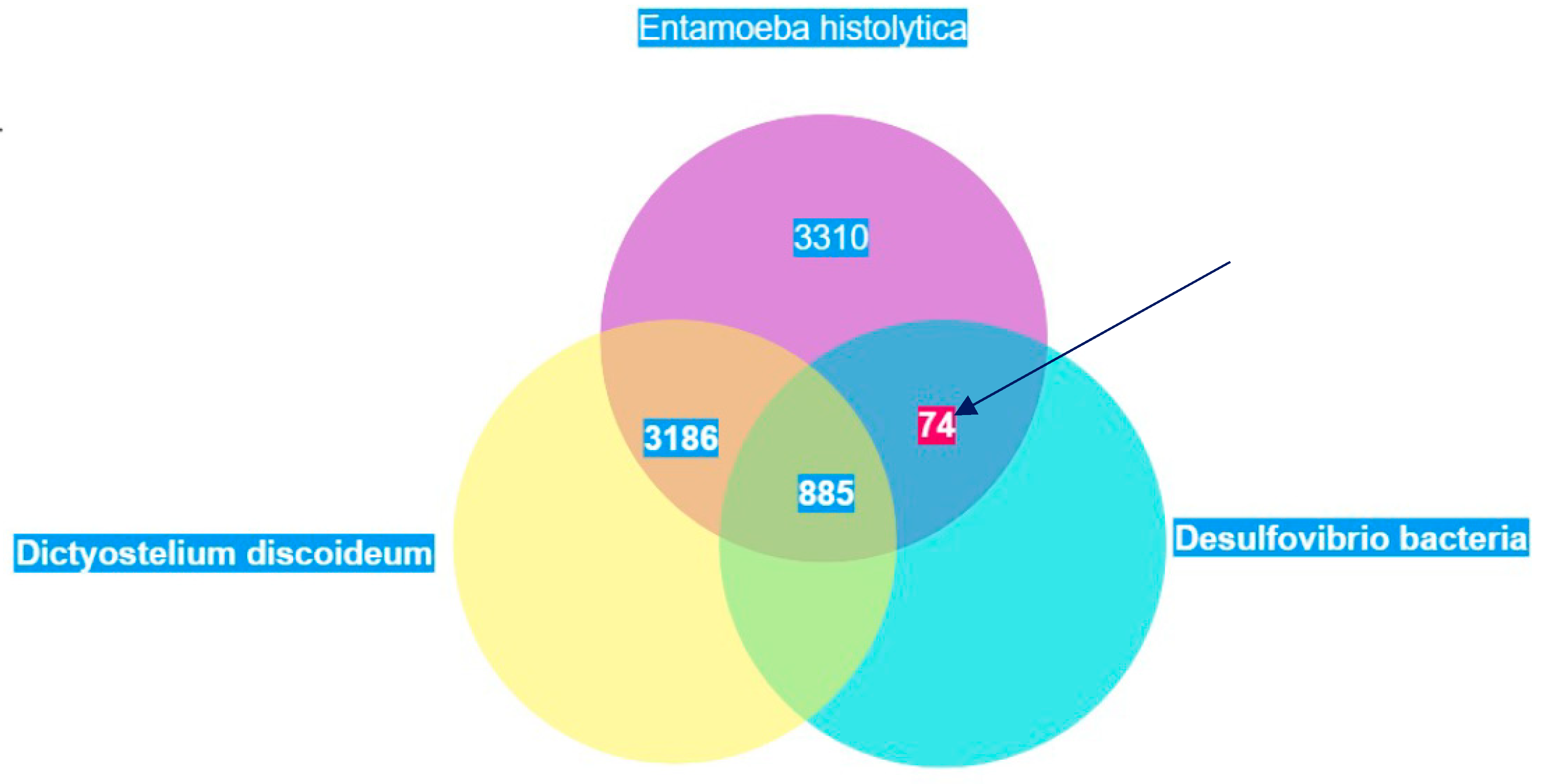 Preprints 91477 g021